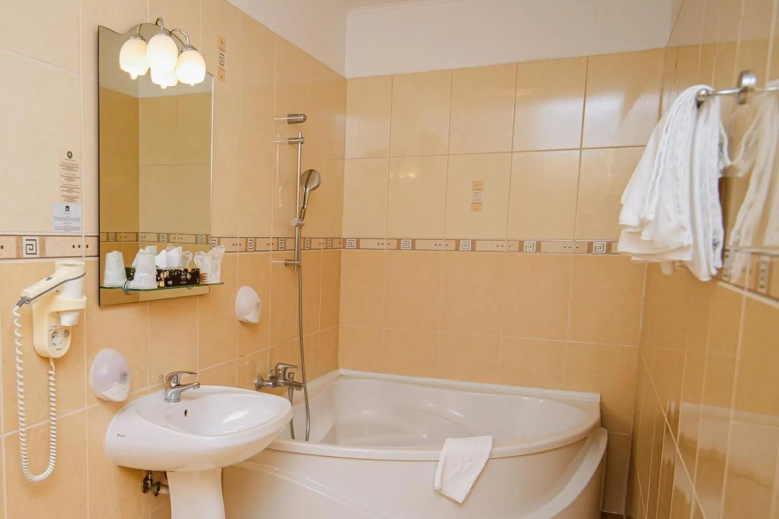 Bathroom in Hotel Fantanita Haiducului