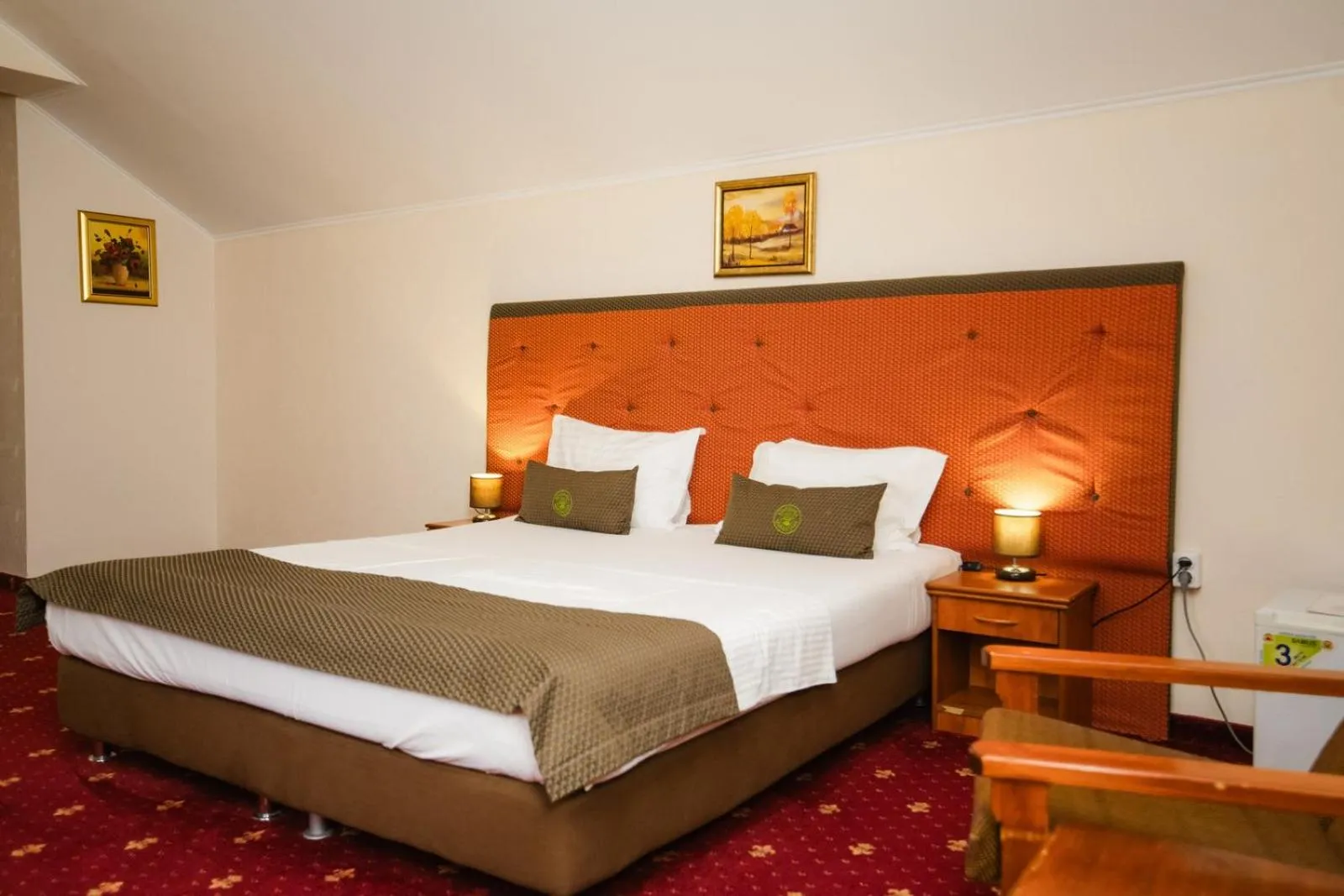 Photo of the whole room in Hotel Fantanita Haiducului