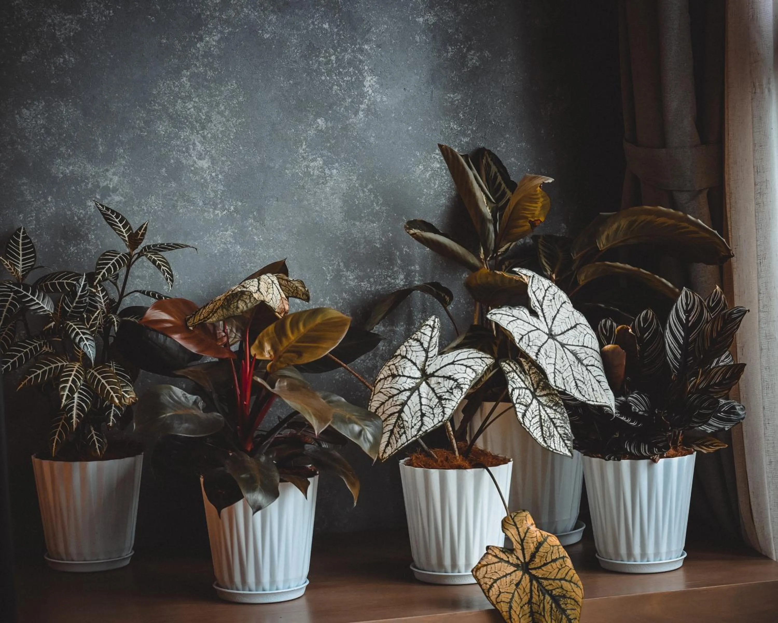 Decorative detail in Colline Dalat