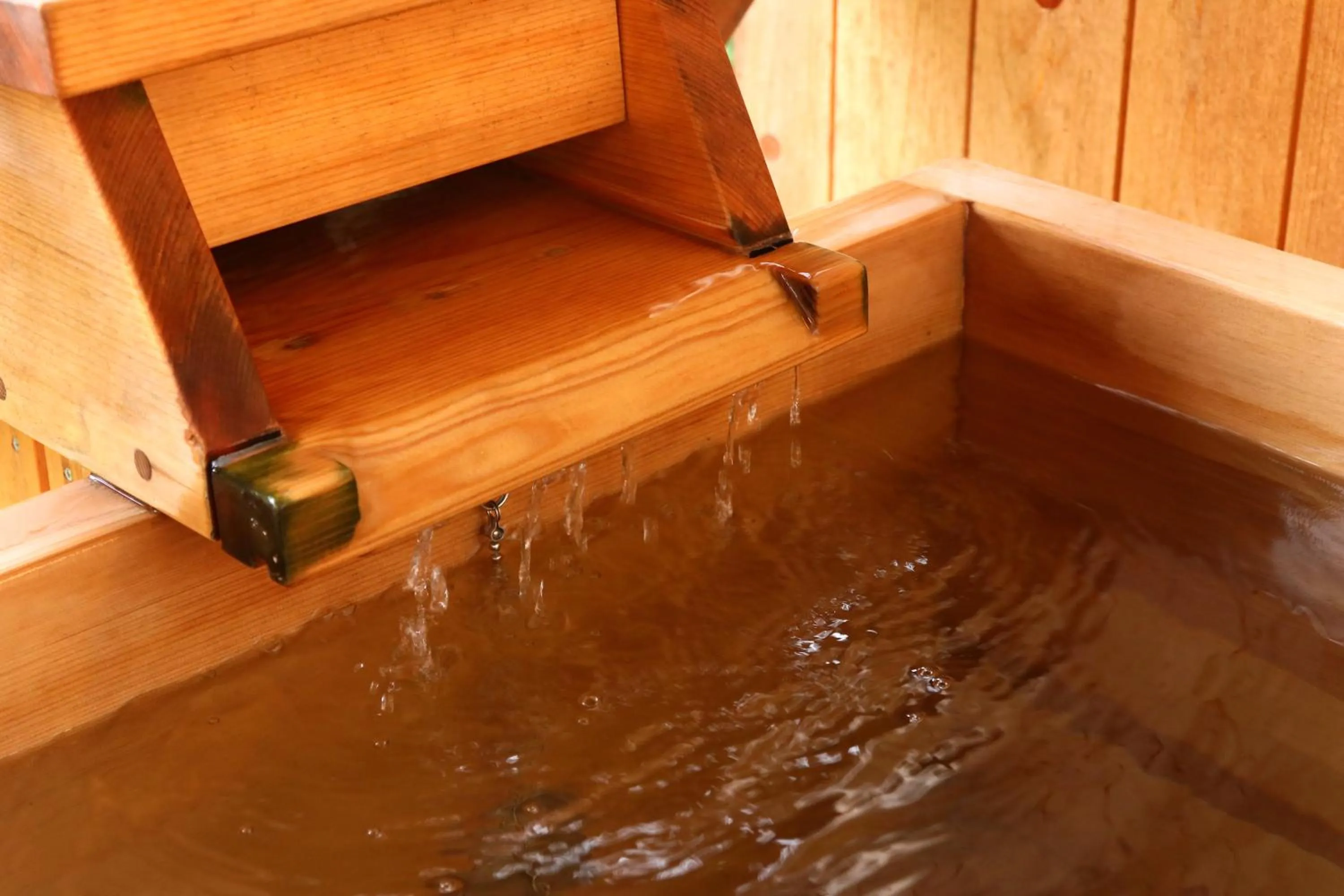 IZUNA INN & SPA - the veggie delights