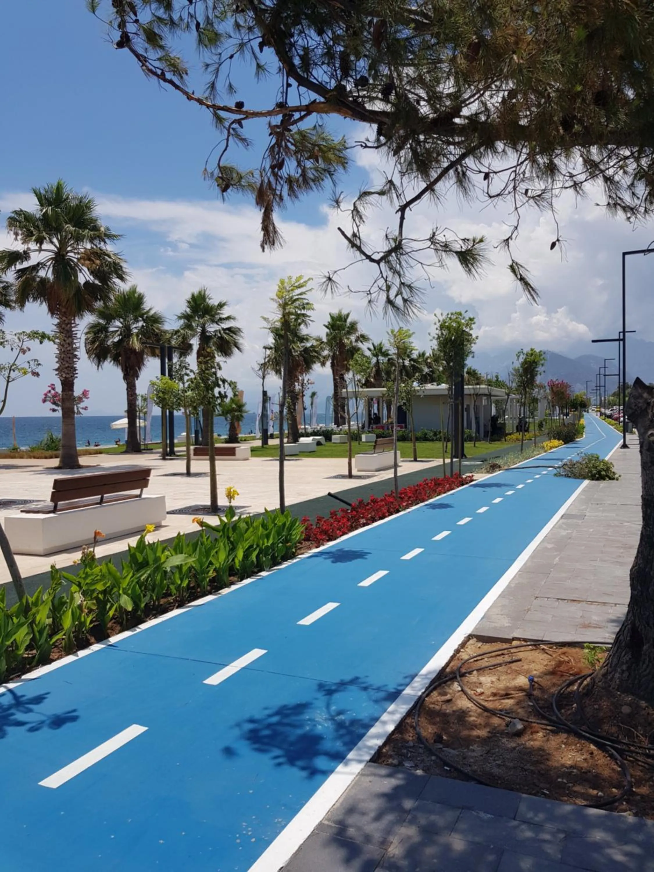 Fitness centre/facilities in Apartments Anatolia