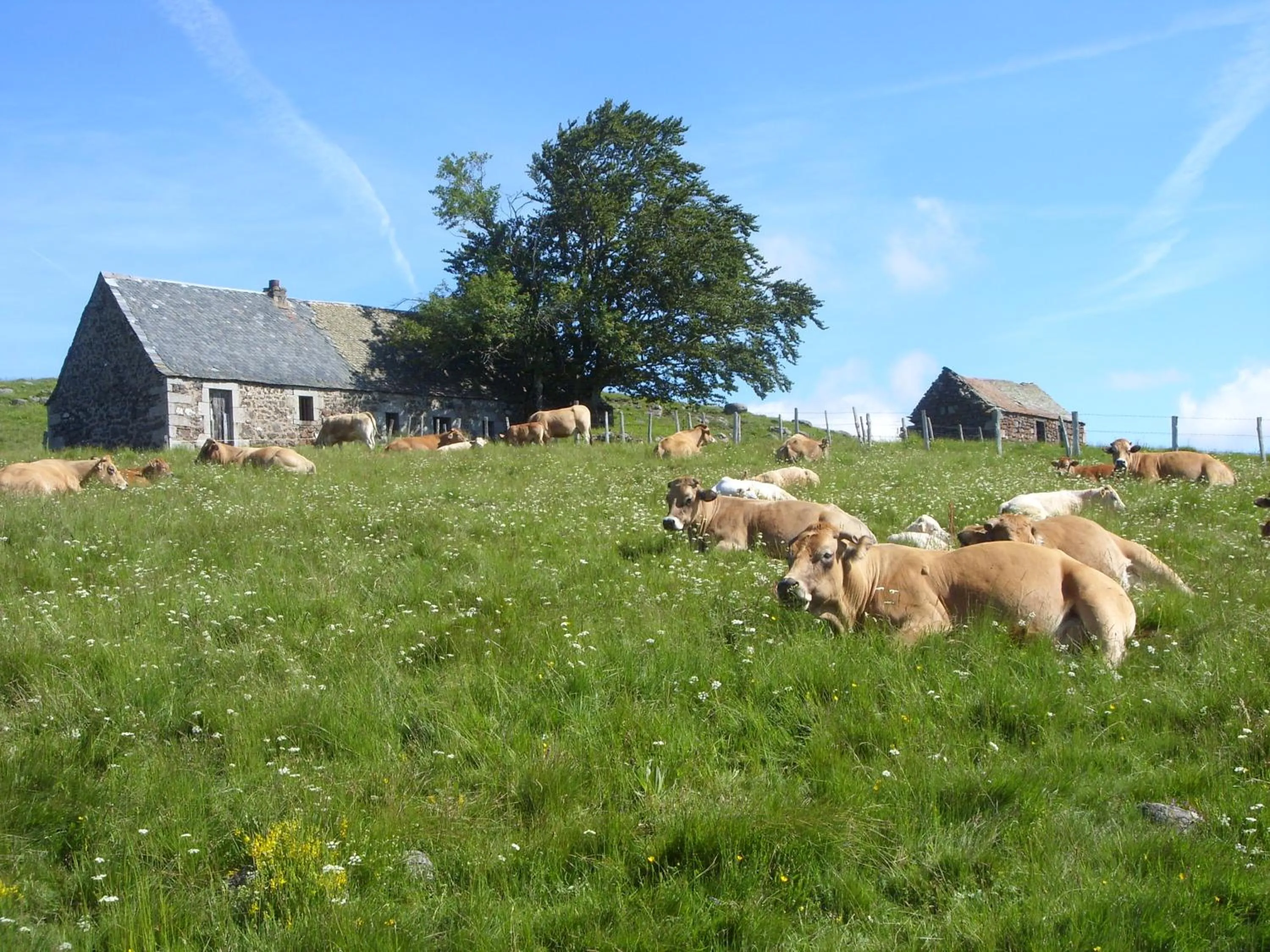 Off site in Chambres d'hôtes Le Lepadou-Bas