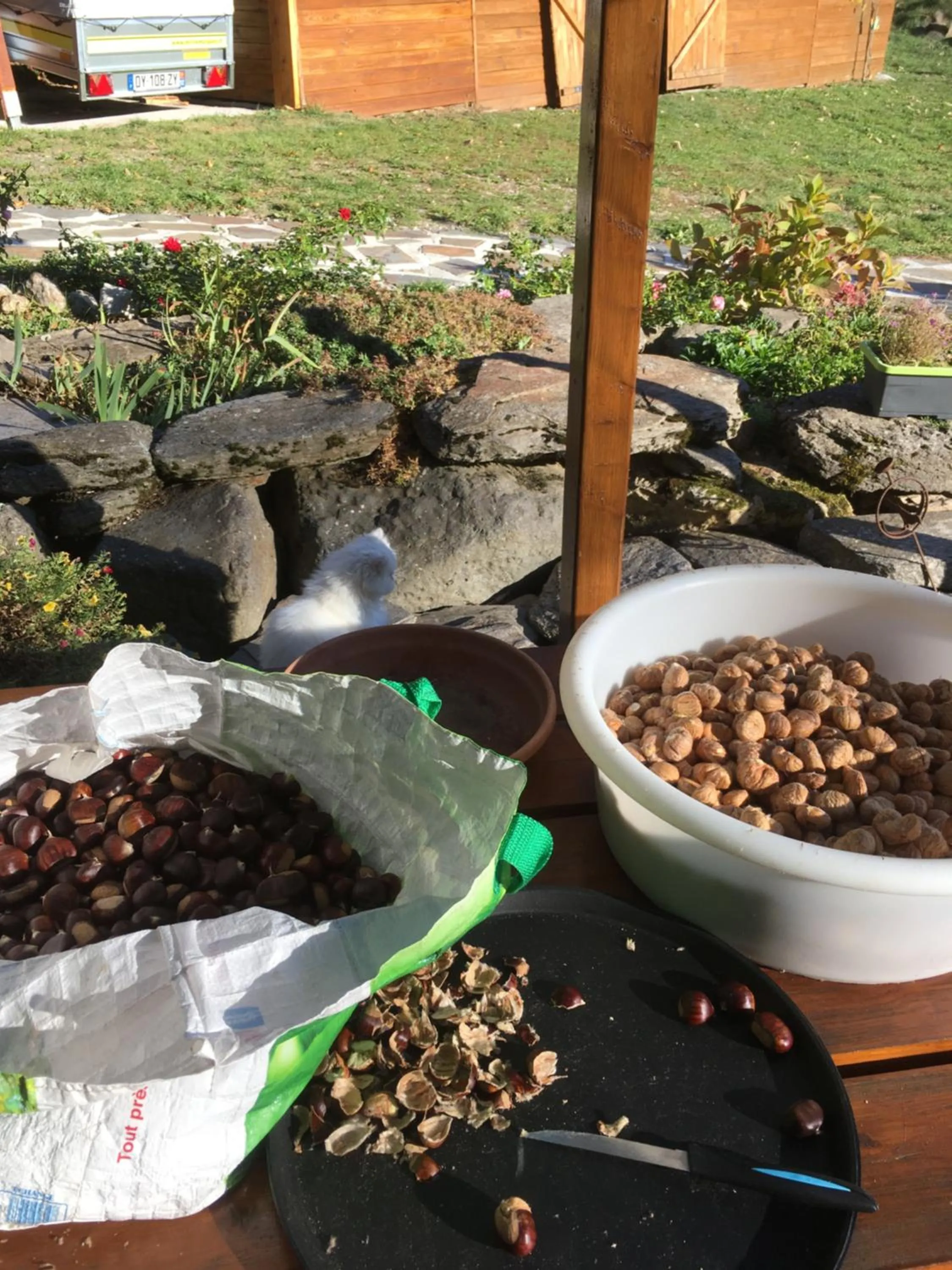 Food close-up in Chambres d'hôtes Le Lepadou-Bas