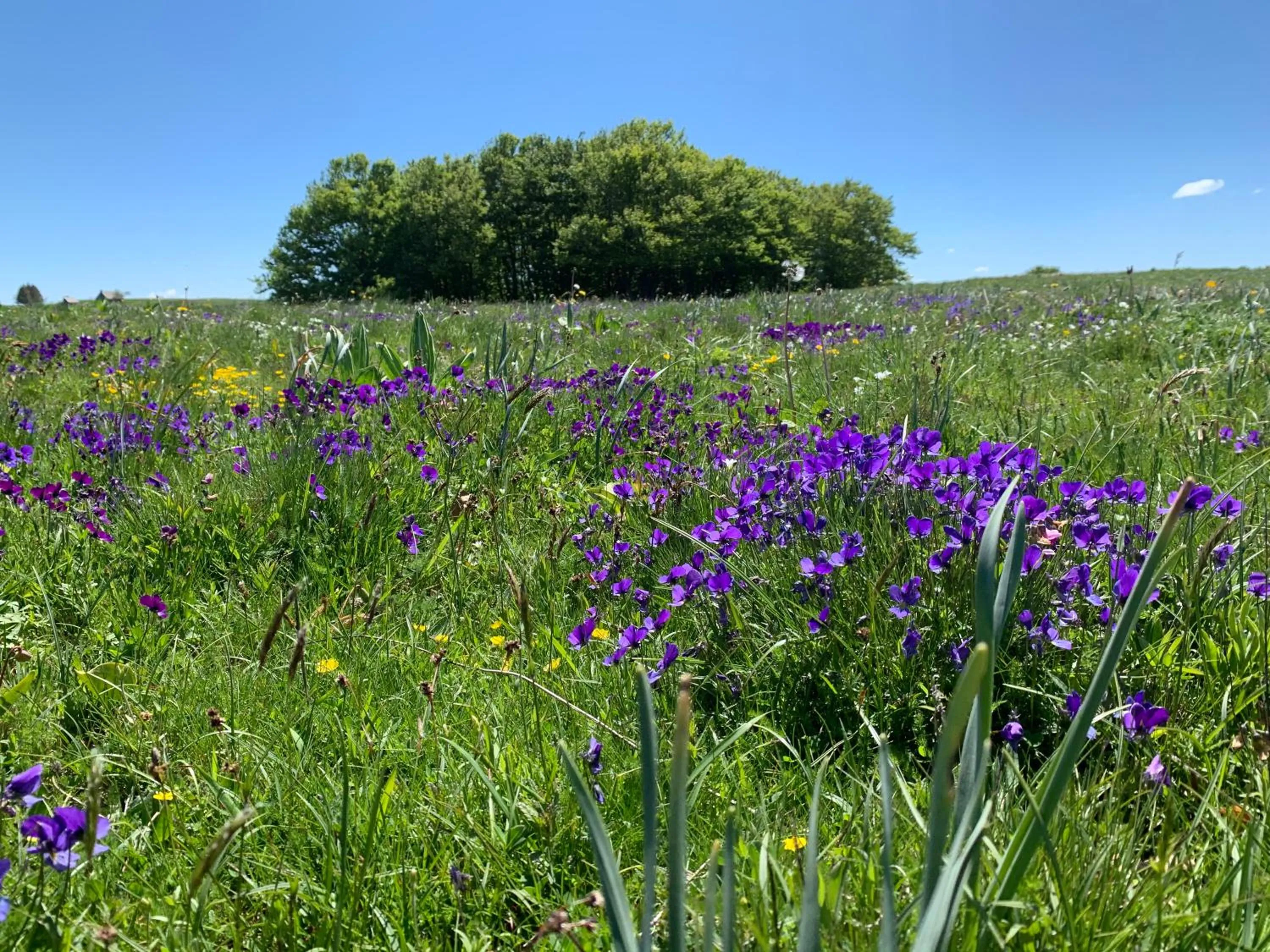 Off site in Chambres d'hôtes Le Lepadou-Bas