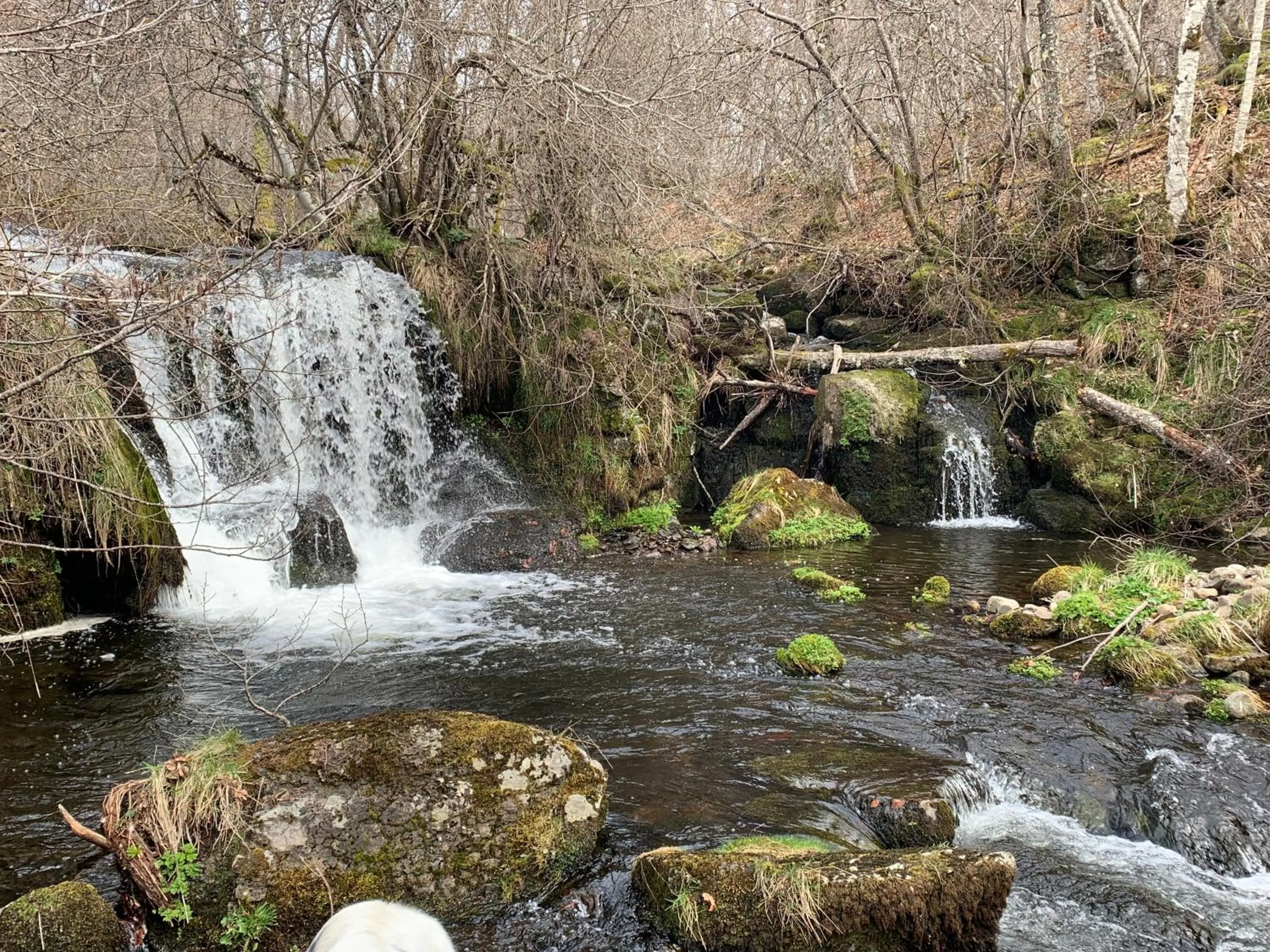 River view in Chambres d'hôtes Le Lepadou-Bas