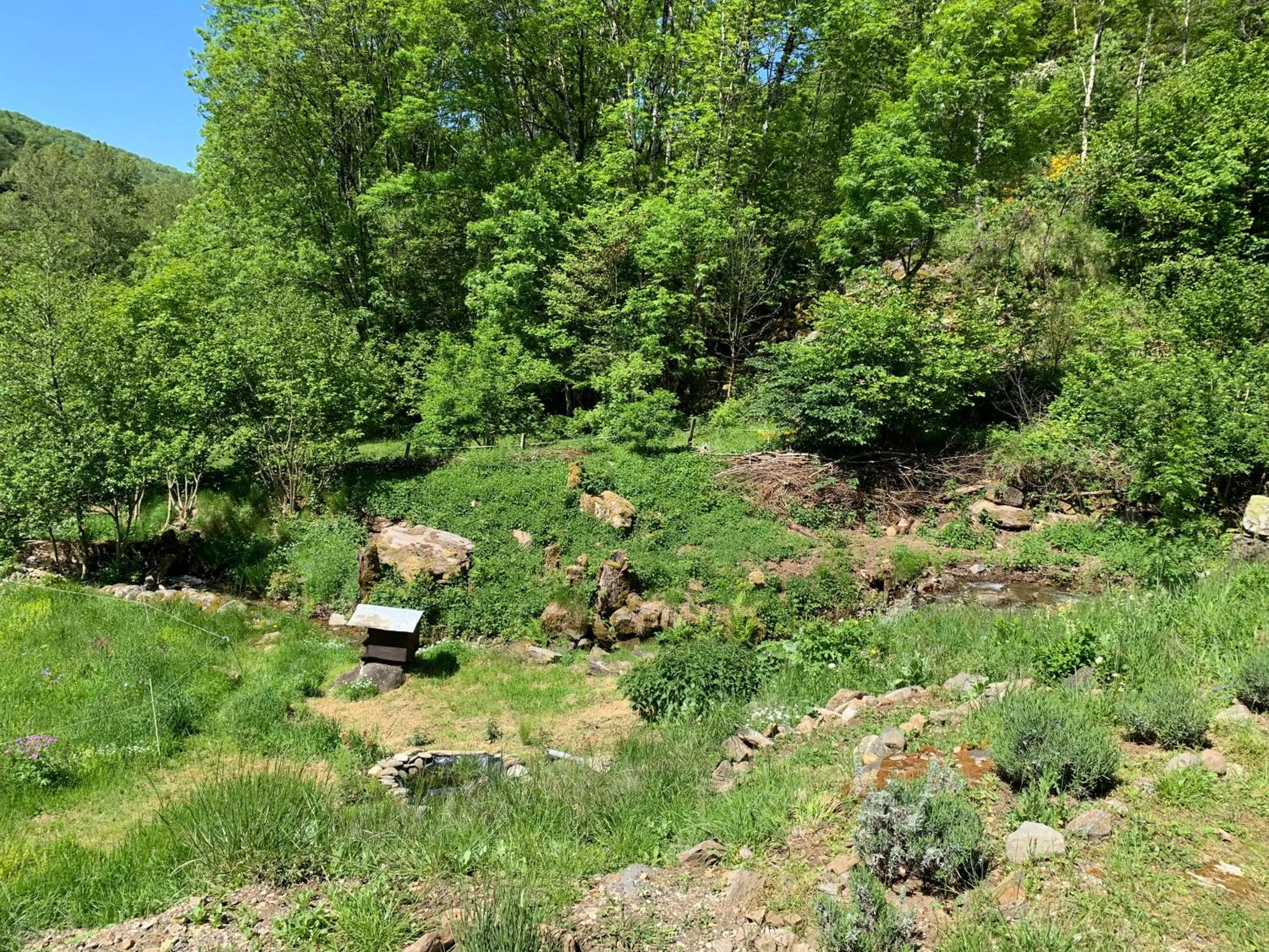 On site in Chambres d'hôtes Le Lepadou-Bas