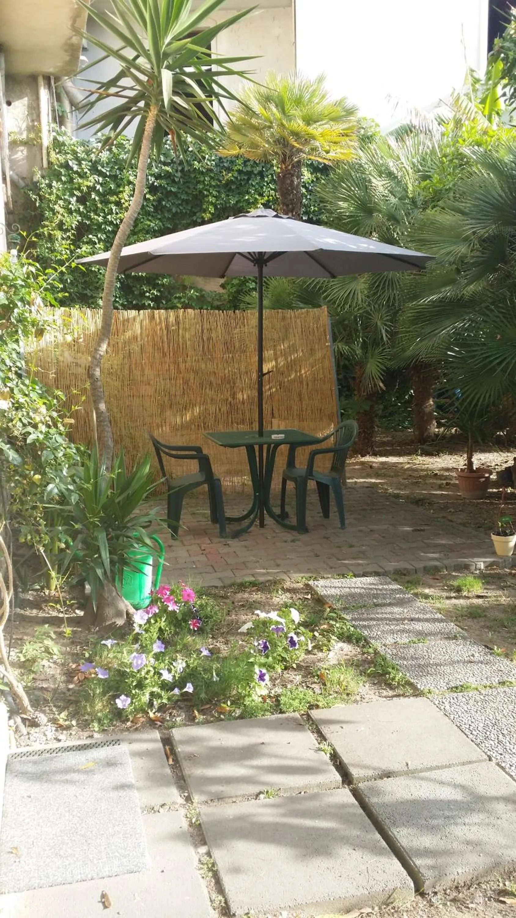 Property building in Il Melangolo