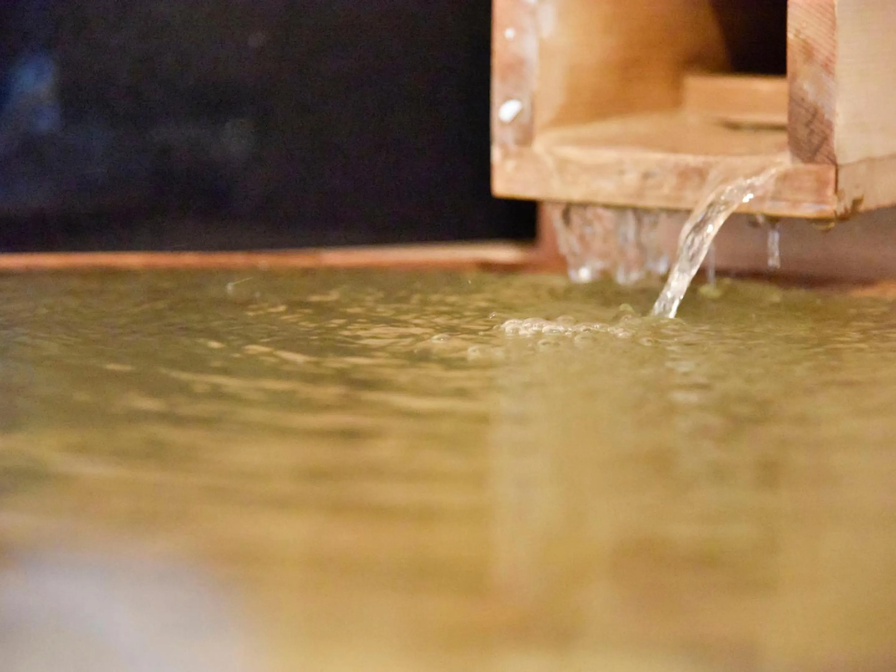 Hot Spring Bath in Oyado Yumechidori