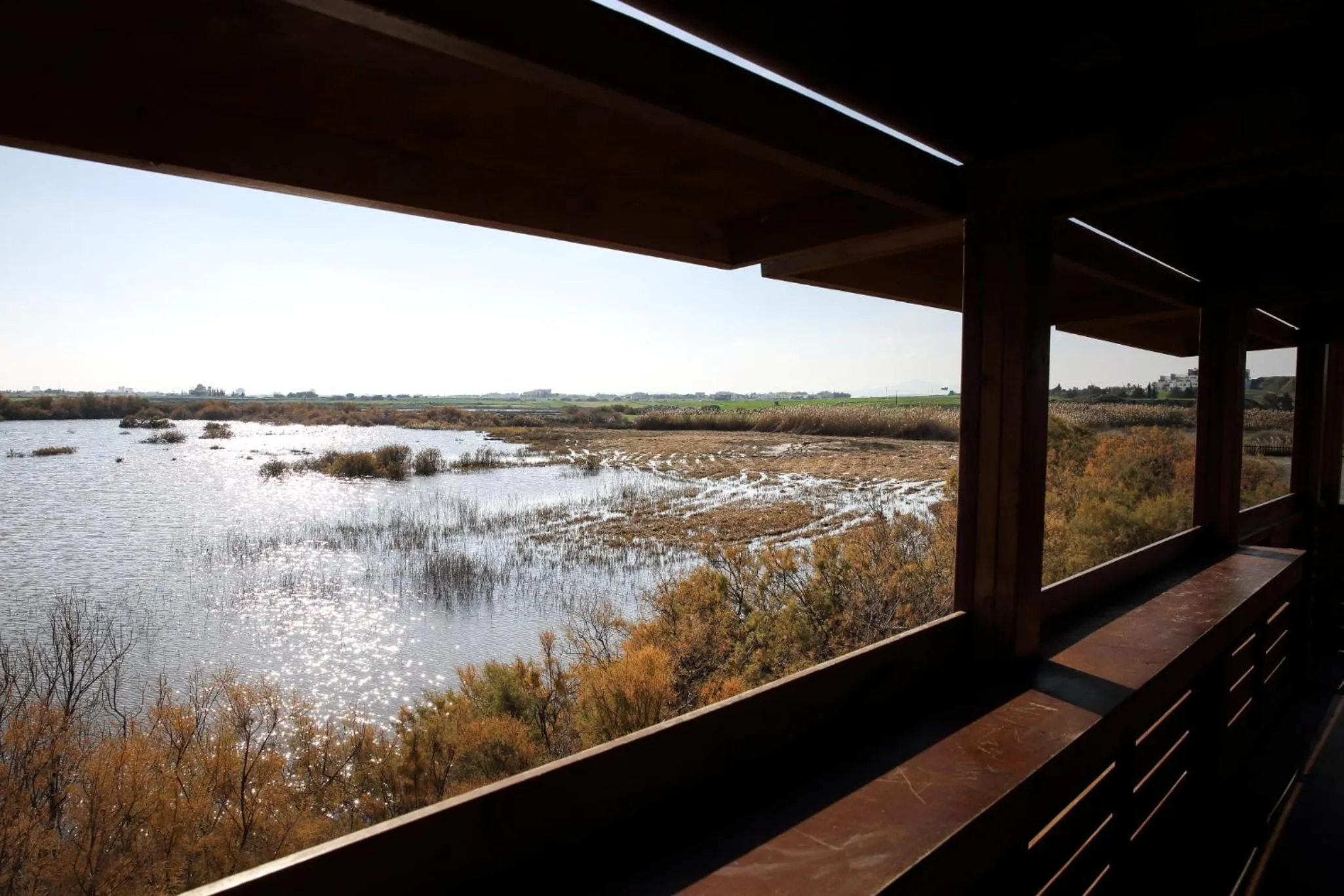 Nearby landmark in Lithos Studios