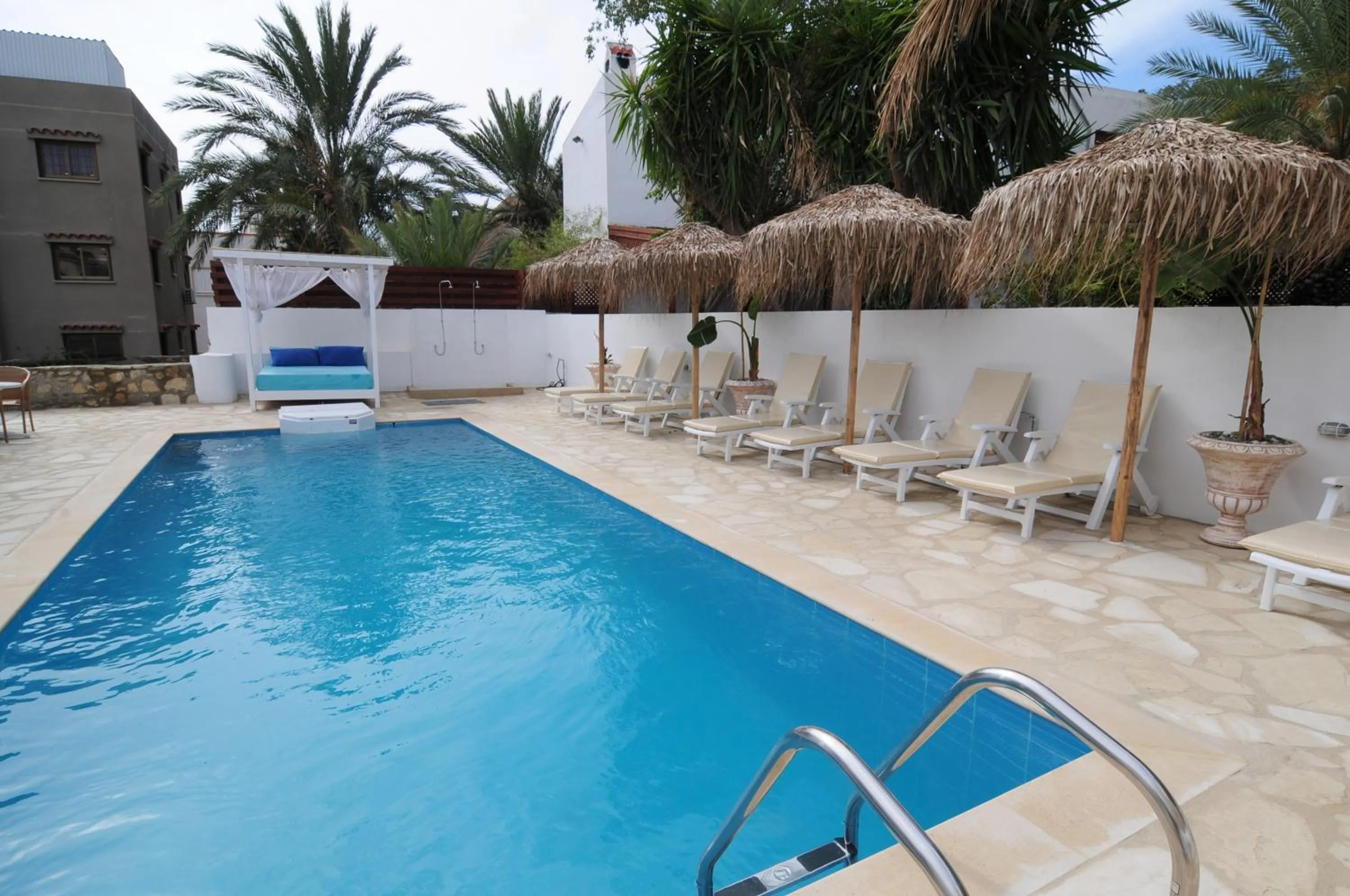 Garden in Lithos Studios