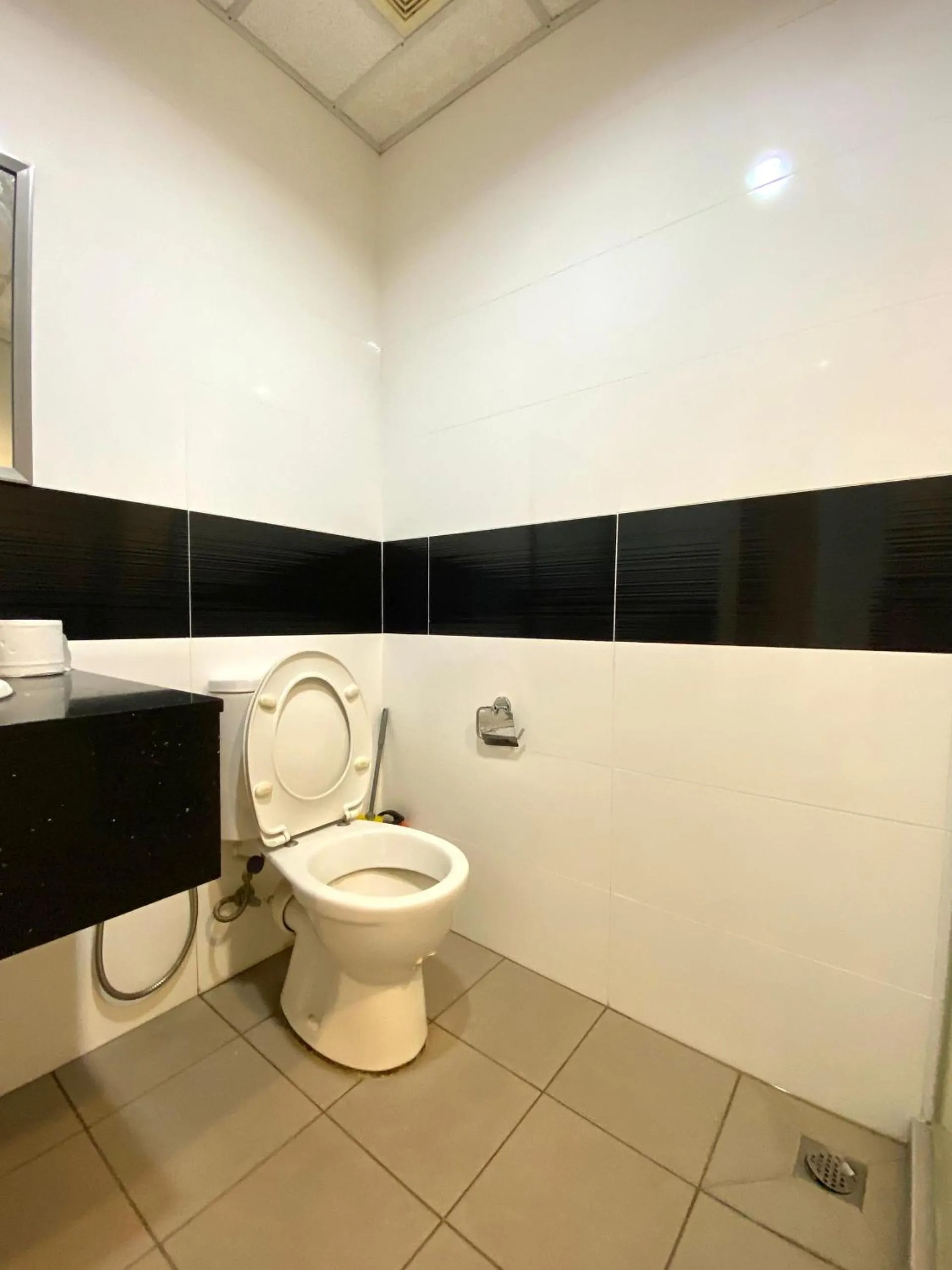 Toilet in Mansion One by Sky Hive