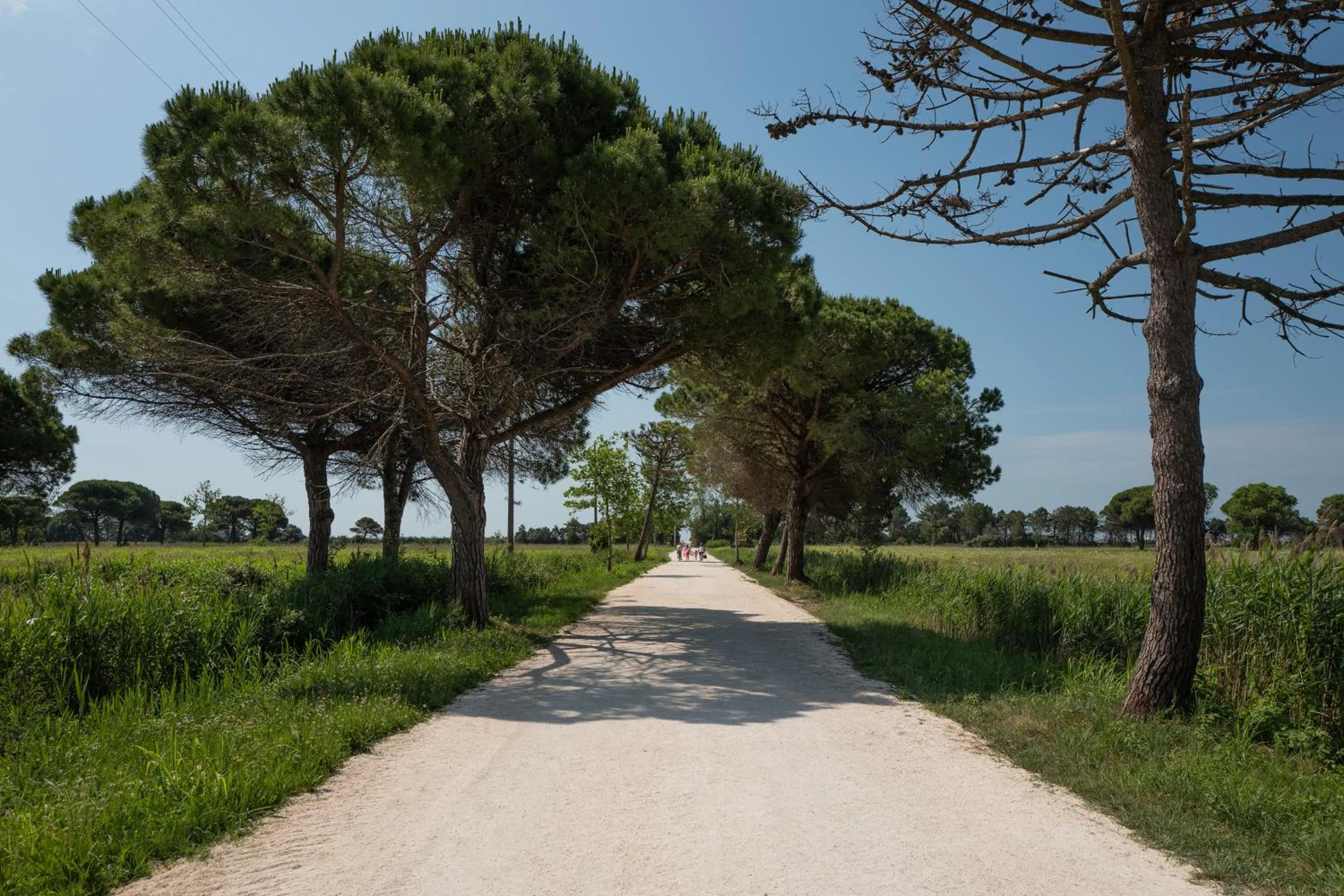 Neighbourhood in Lino delle Fate Eco Resort