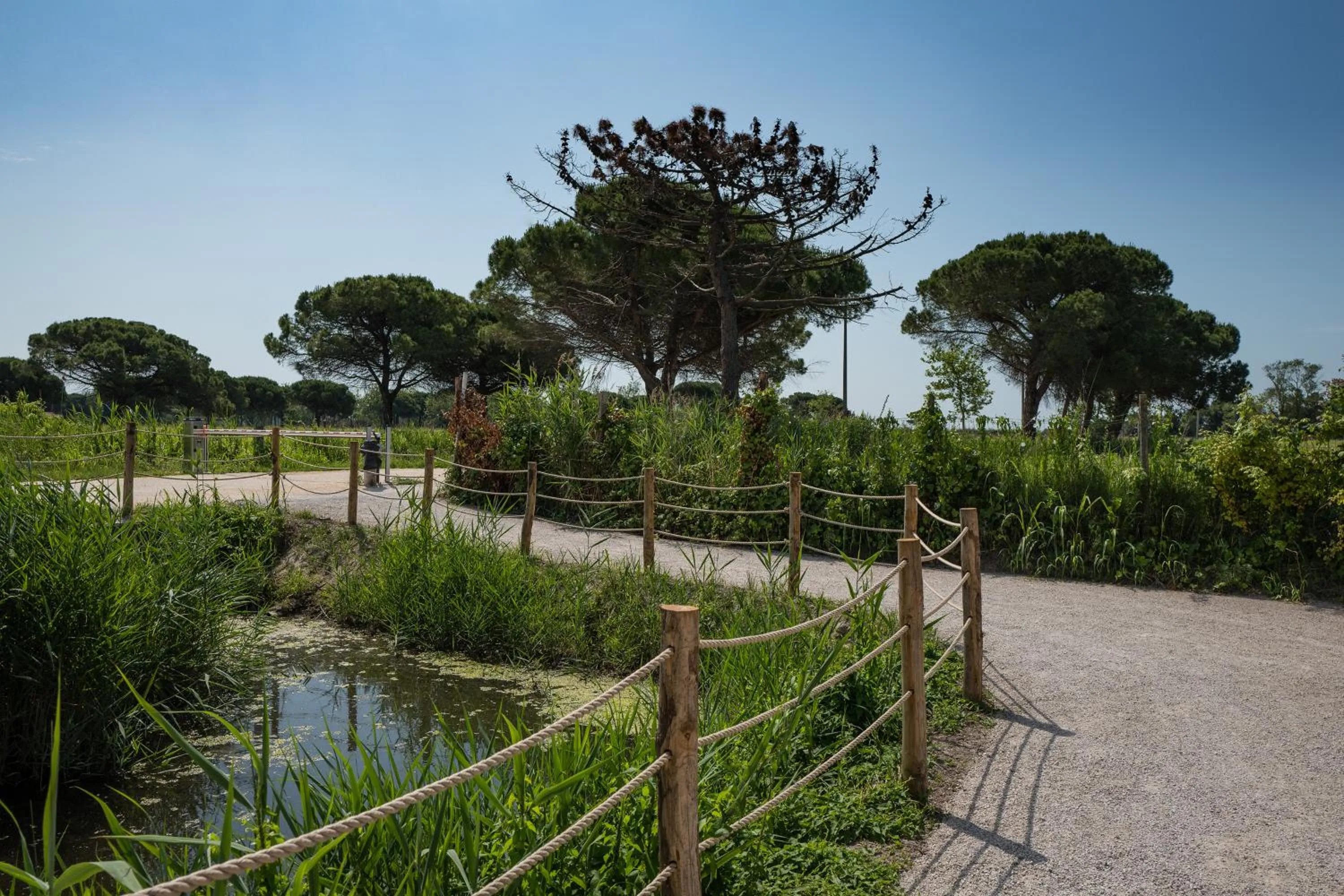 Natural landscape in Lino delle Fate Eco Resort