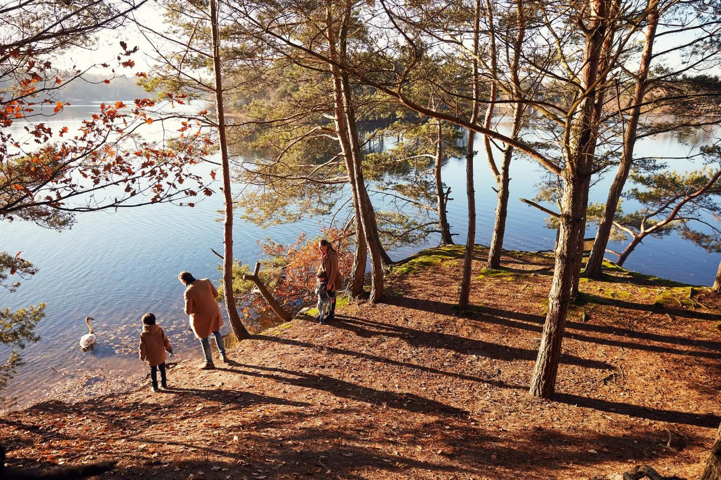 Day in Hotel De Vossemeren by Center Parcs