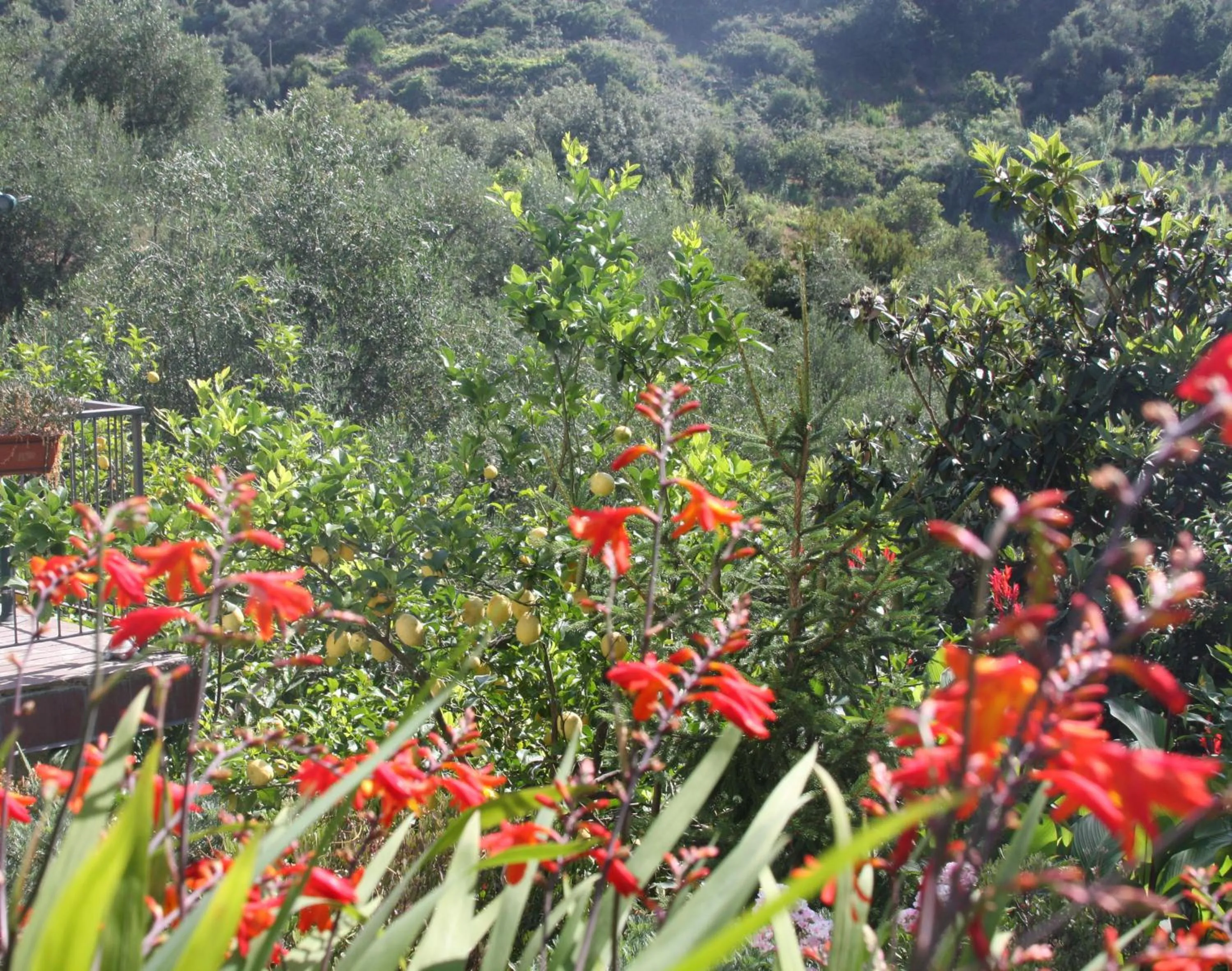 Garden in B&B Le Giare