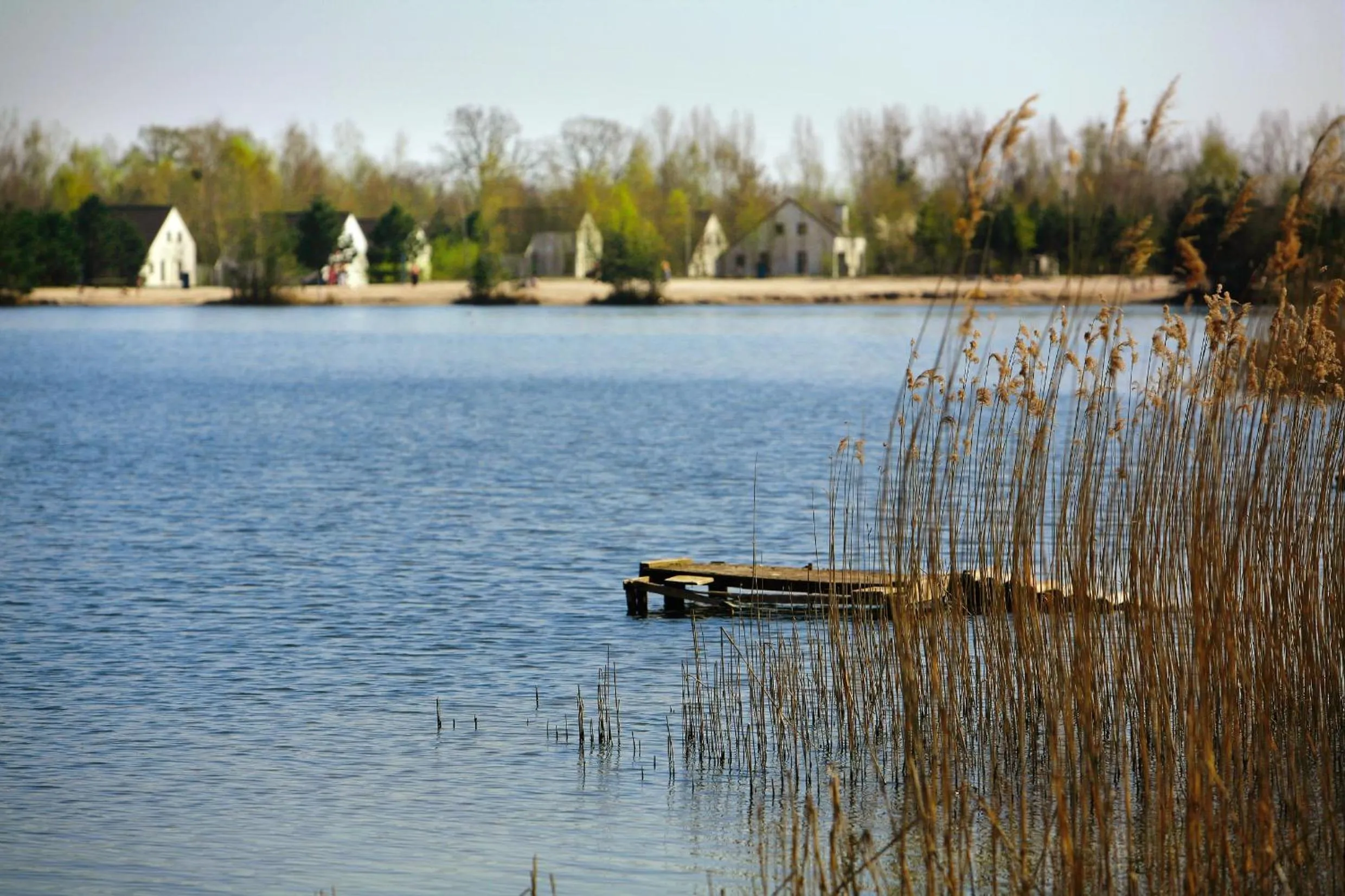 Spring in Hotel Kempense Meren by Sunparks