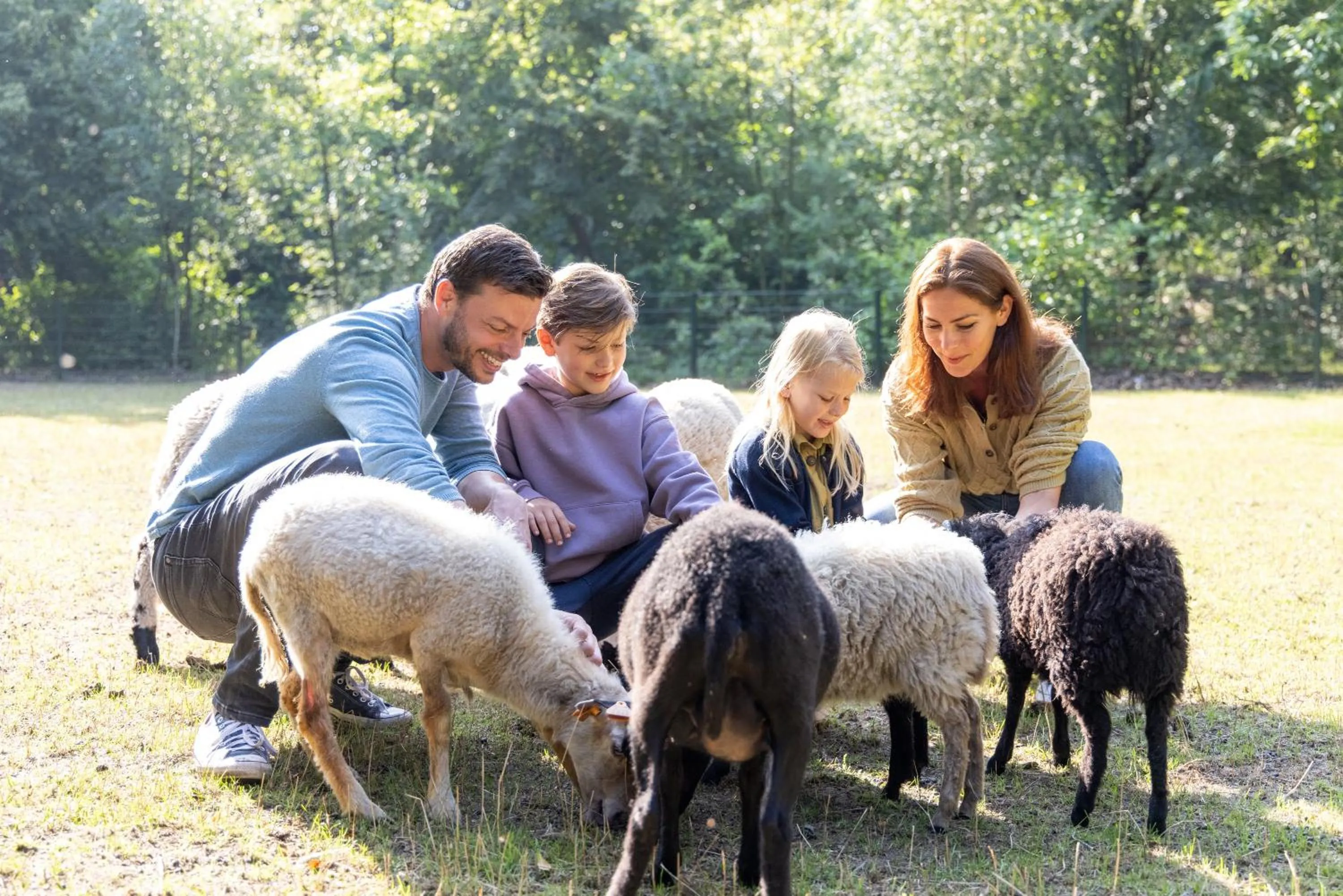 Activities in Hotel Kempense Meren by Sunparks