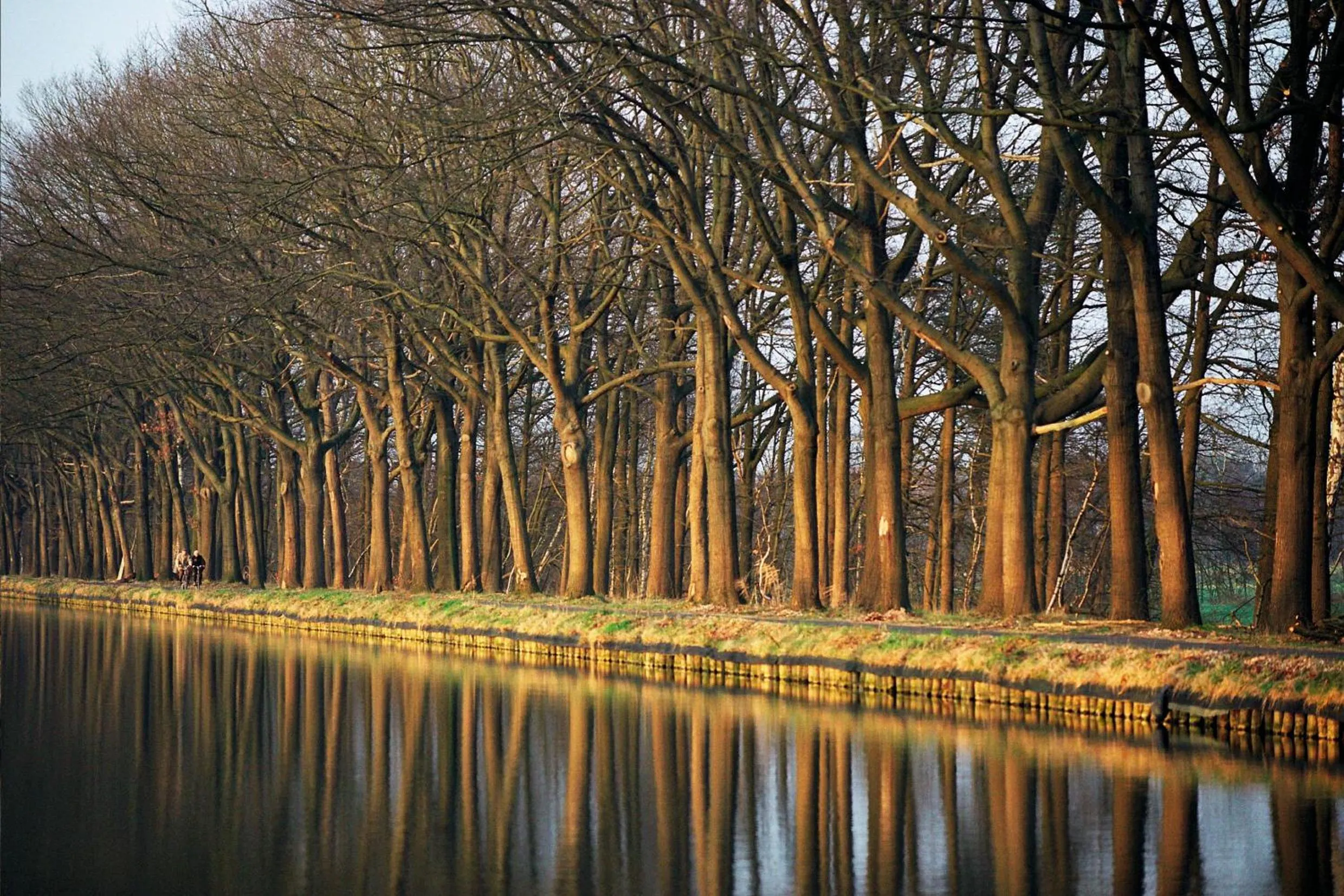 Autumn in Hotel Kempense Meren by Sunparks