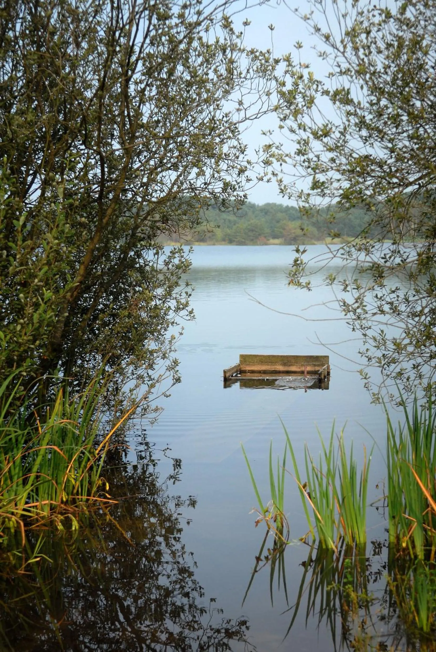 Spring in Hotel Kempense Meren by Sunparks
