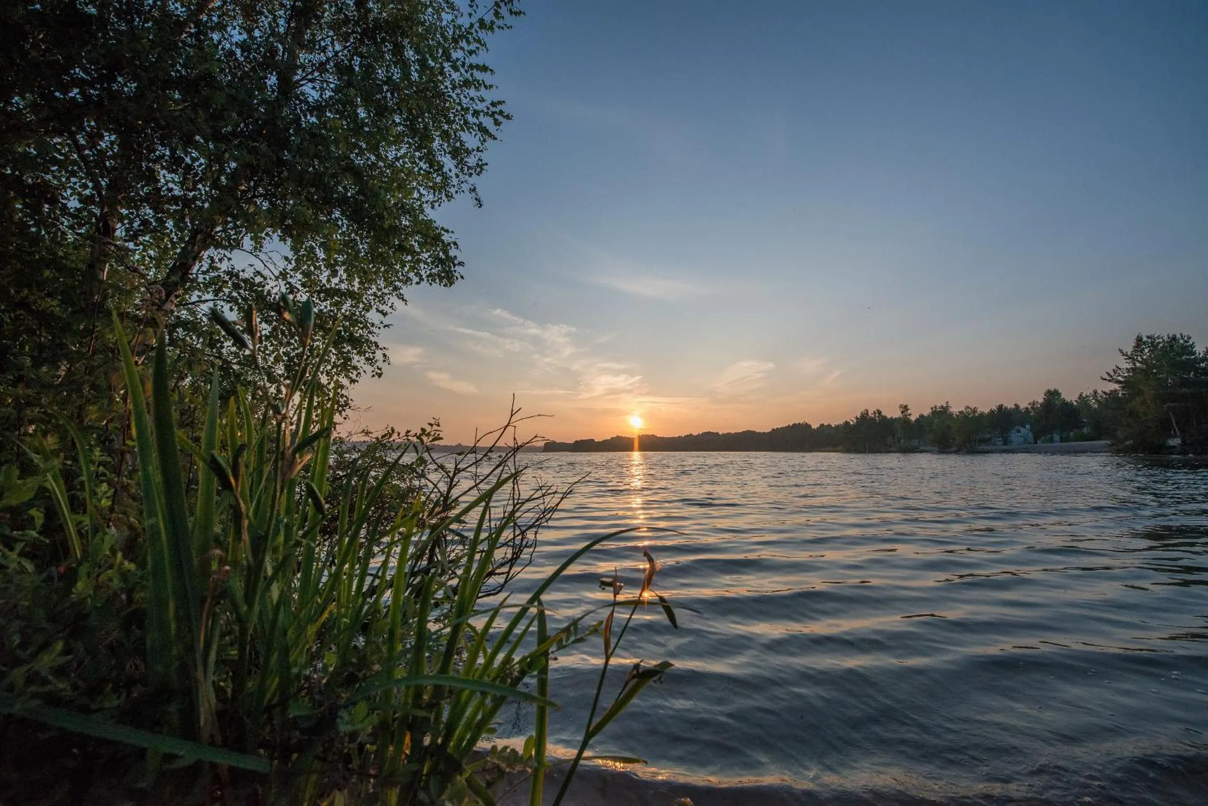 Natural landscape in Hotel Kempense Meren by Sunparks