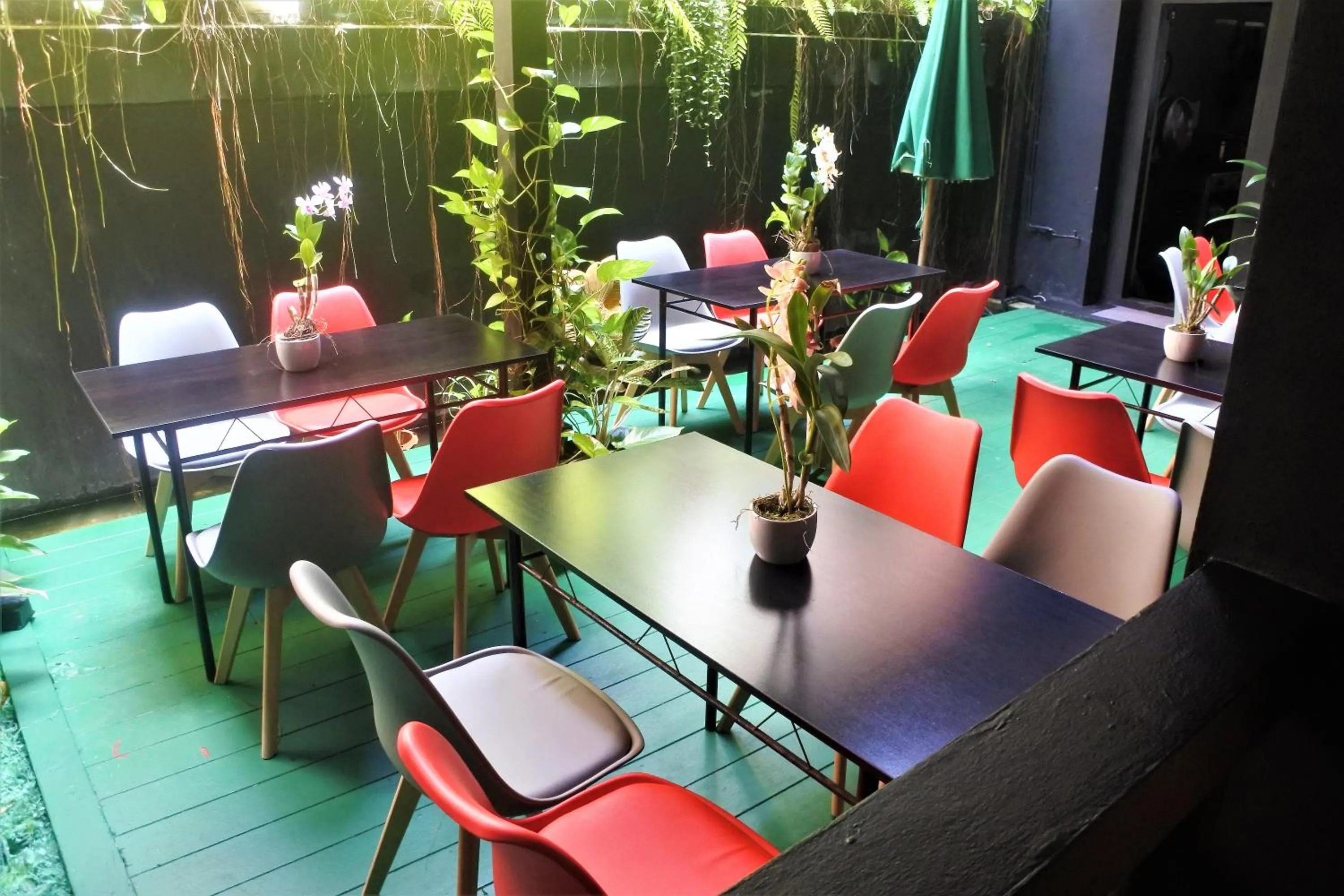 Restaurant/places to eat in Hi Karon Beach