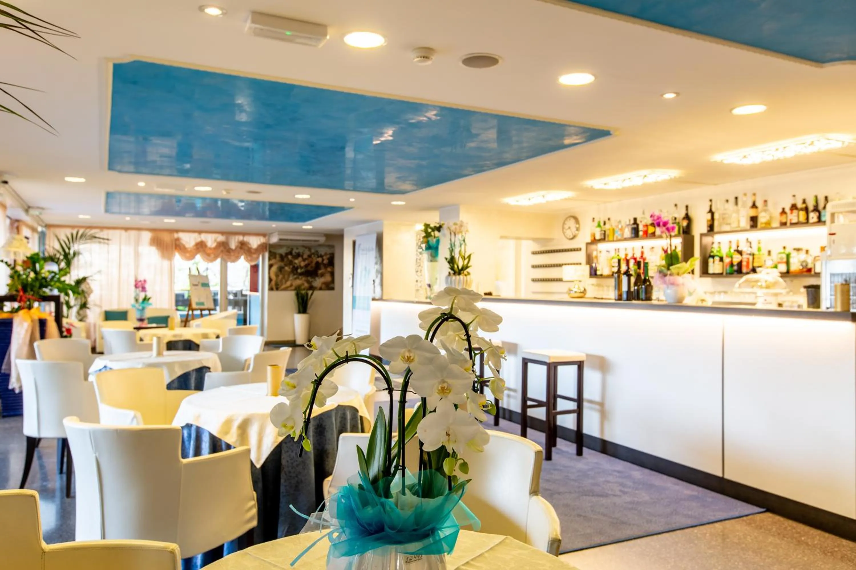 Lounge or bar in Hotel Raffaello