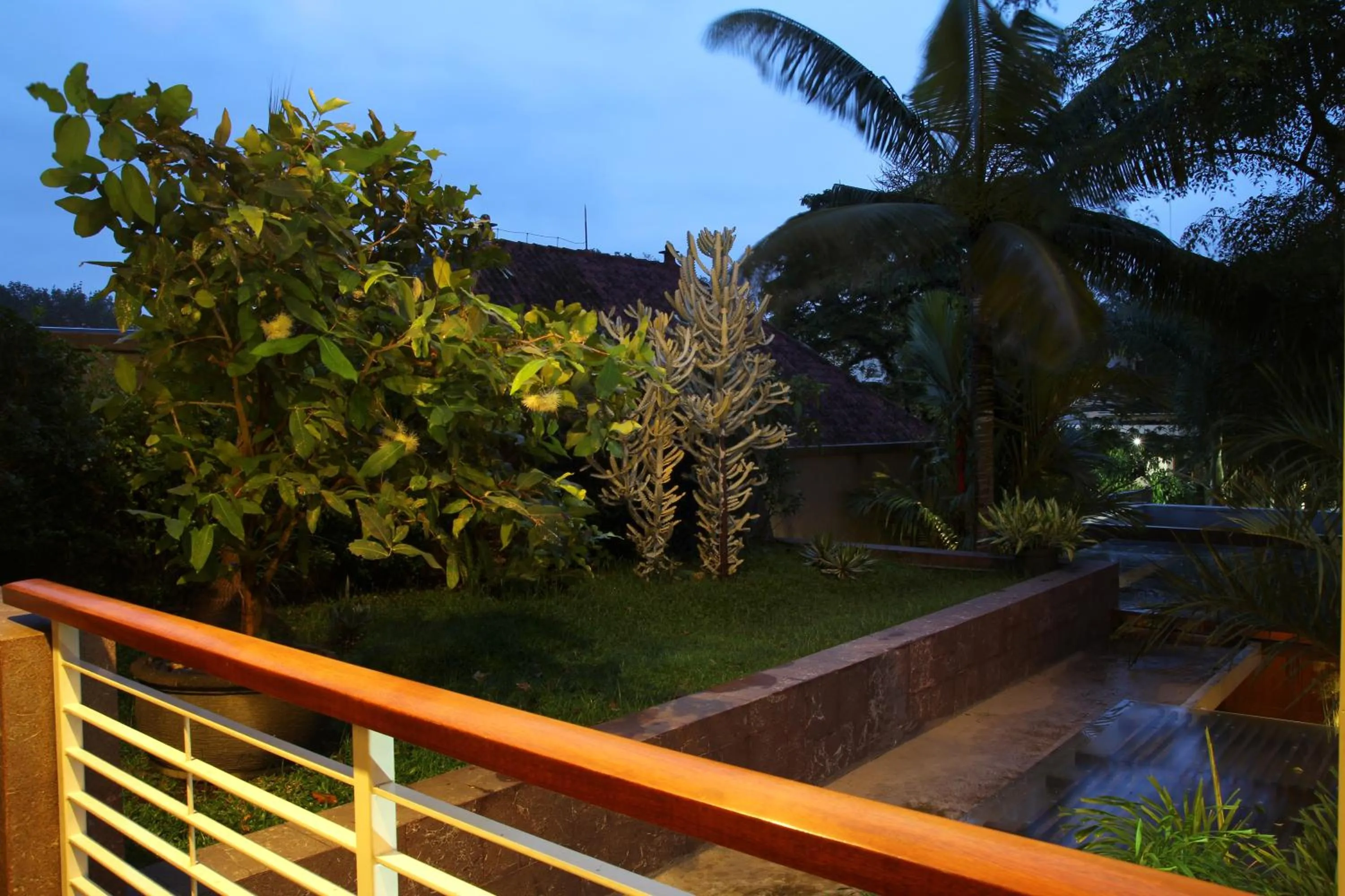 Garden in COZY Boutique Guest House