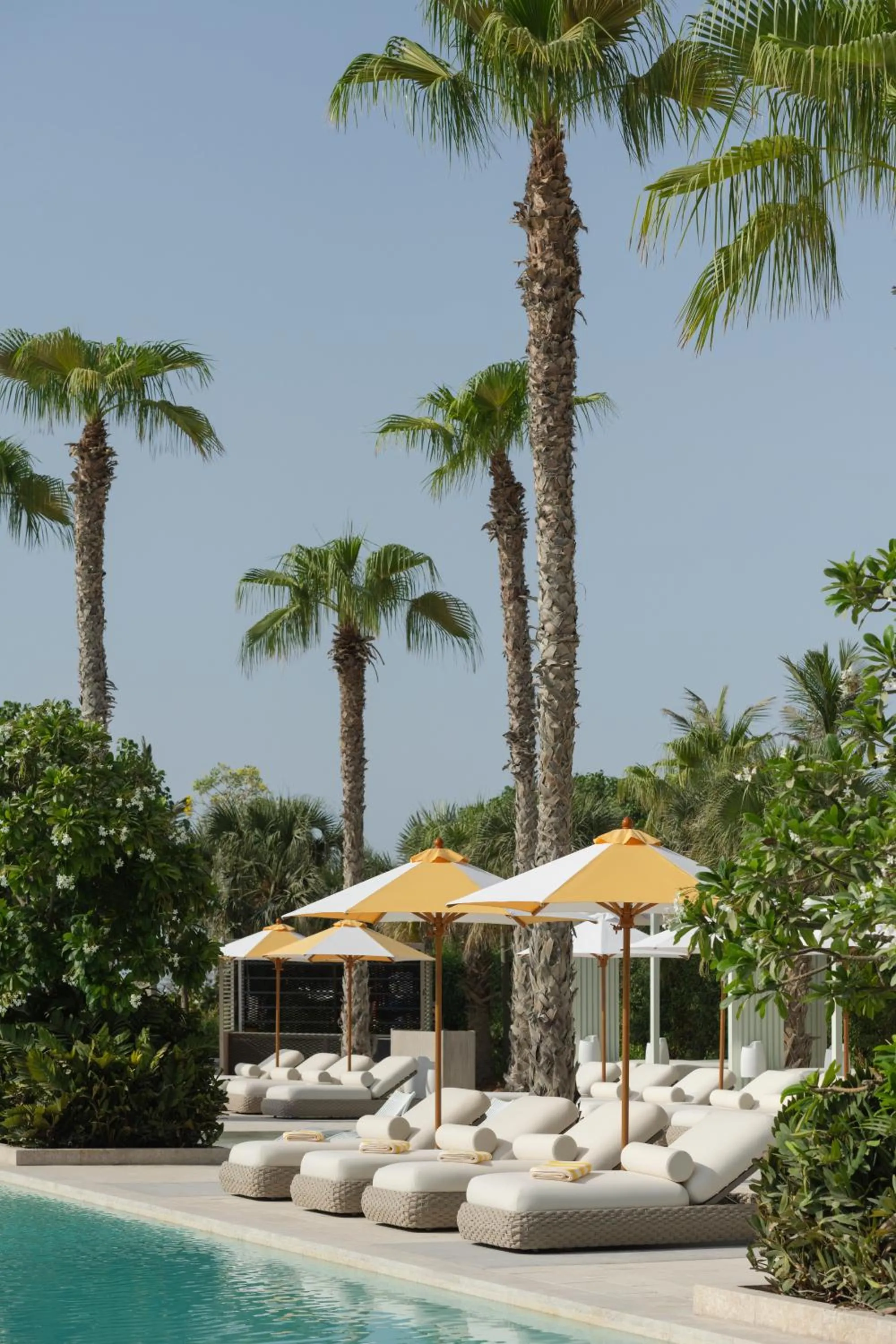 Restaurant/places to eat in Delano Dubai at Bluewaters