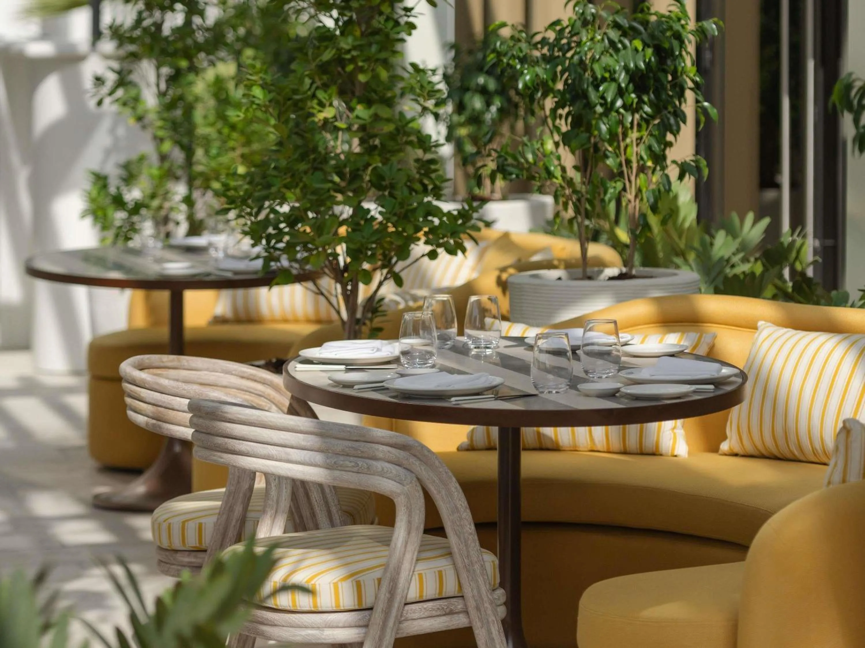 Restaurant/places to eat in Delano Dubai at Bluewaters