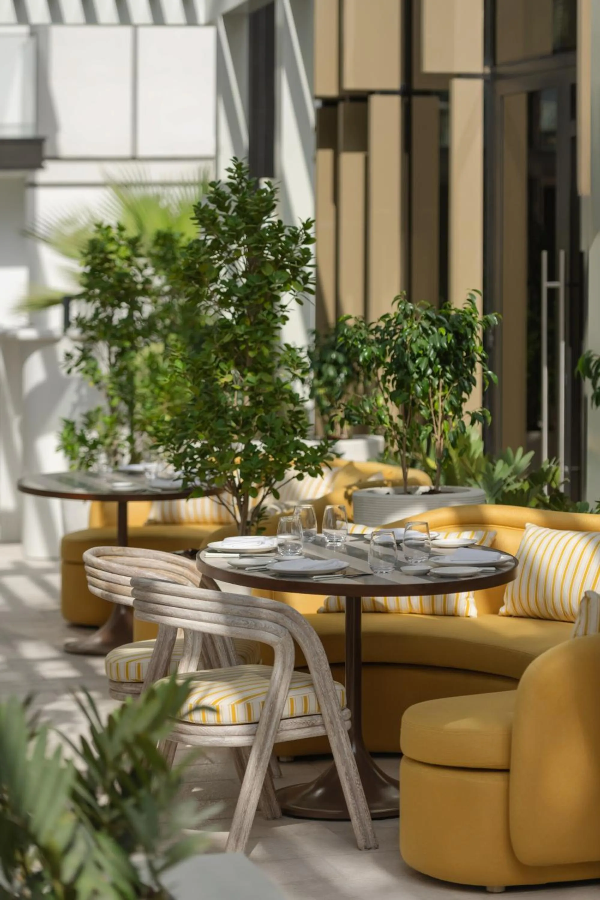 Restaurant/places to eat in Delano Dubai at Bluewaters