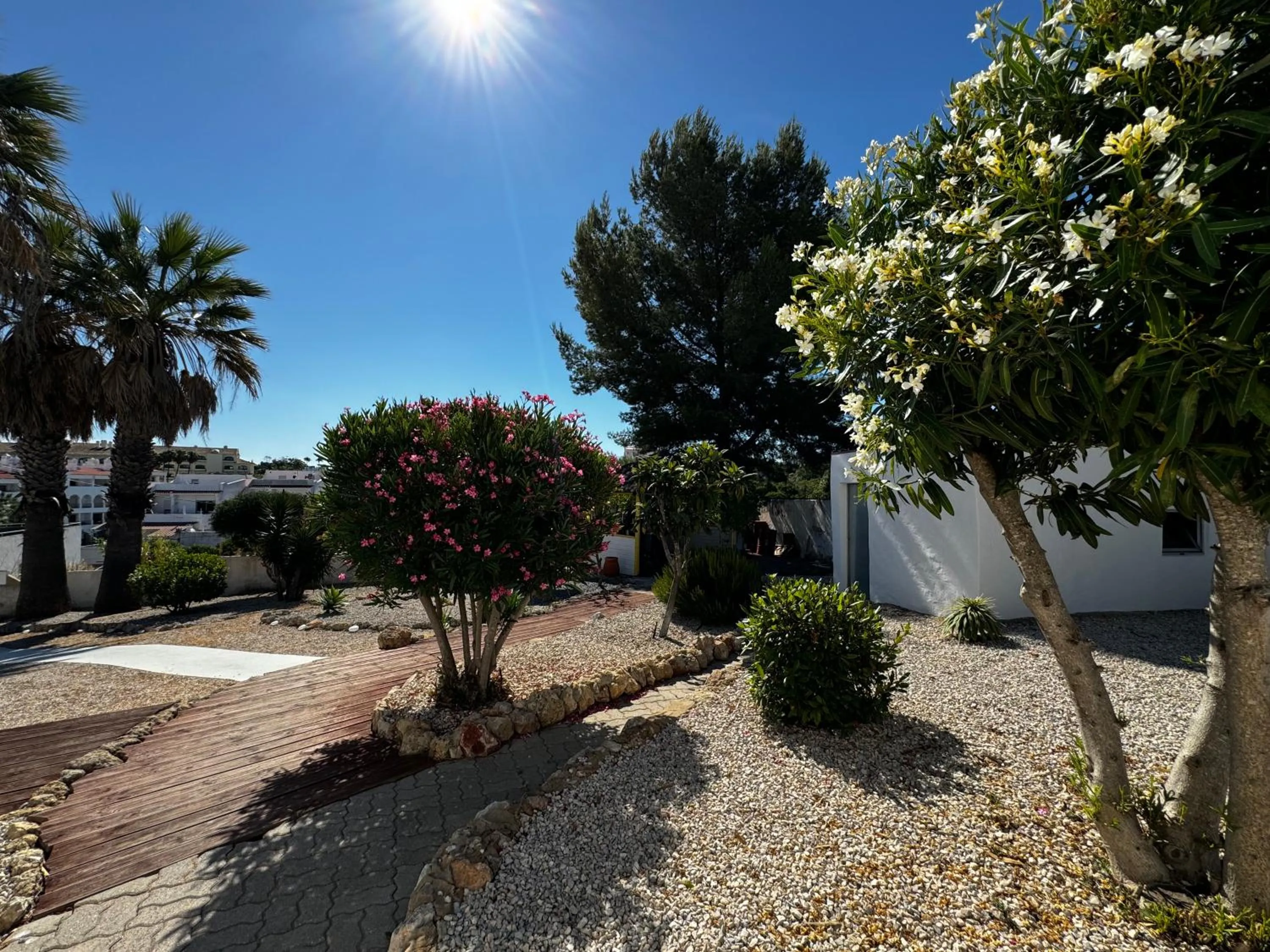 Garden in Vila Horizonte