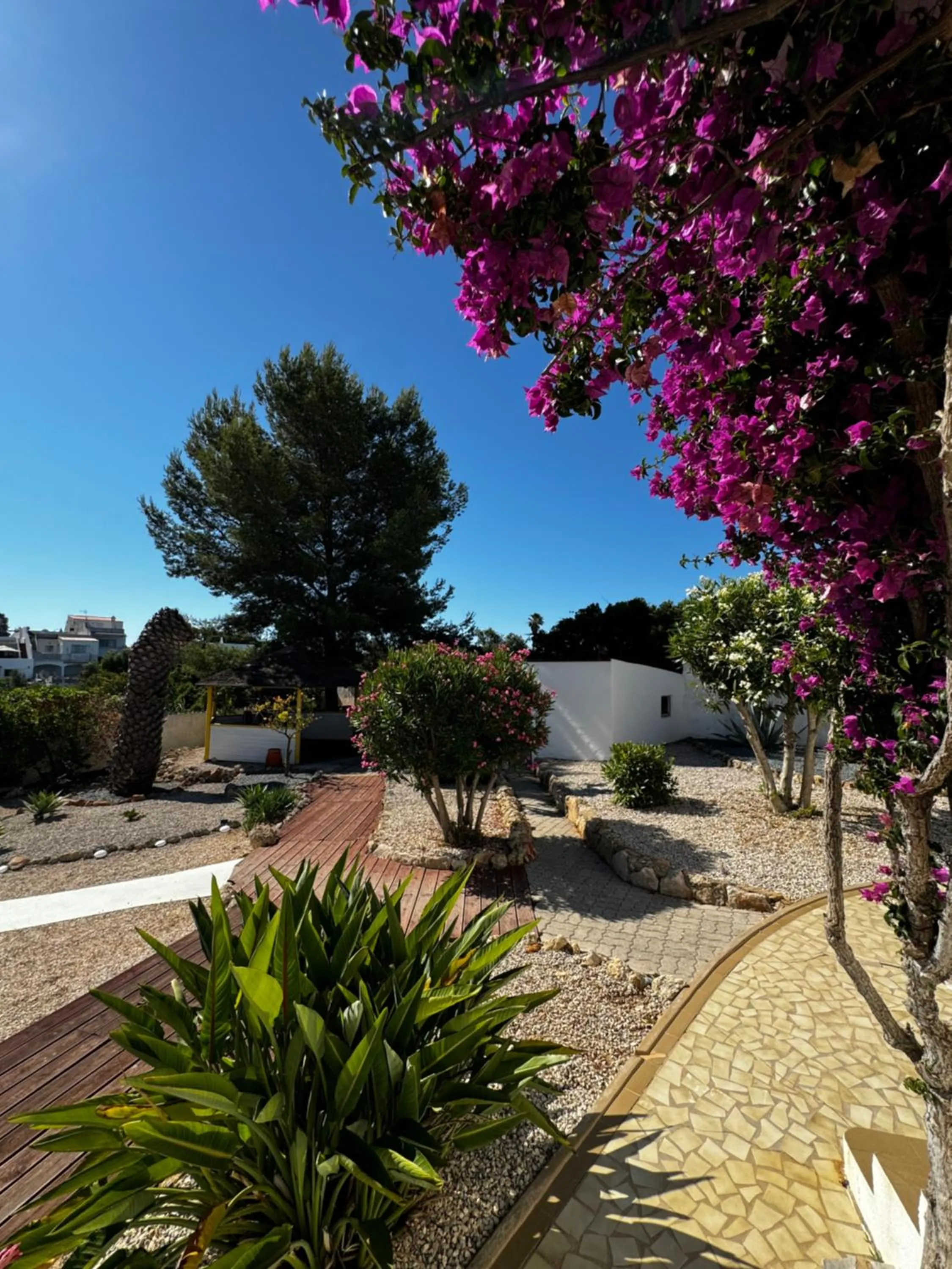 Garden in Vila Horizonte