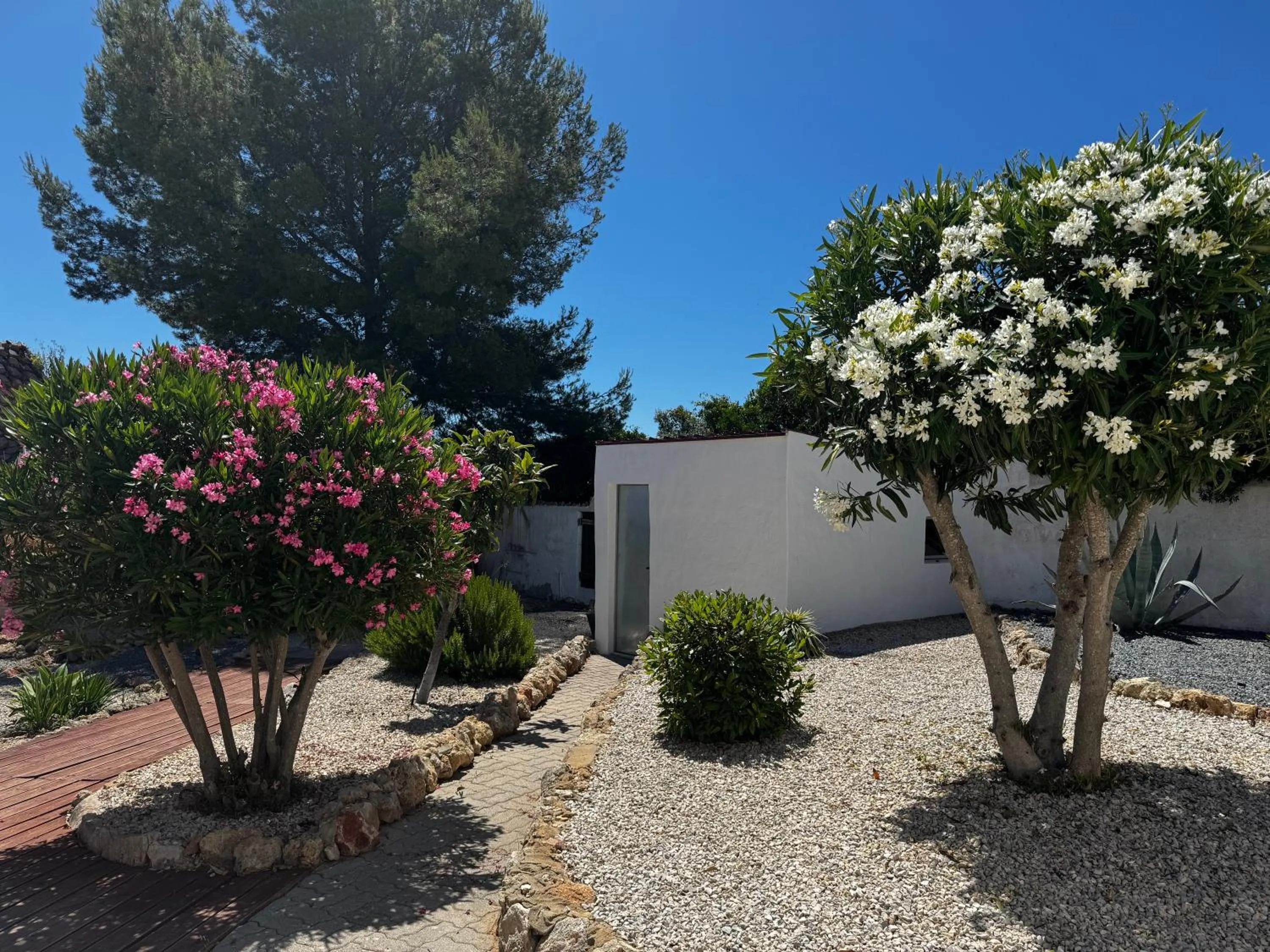 Garden in Vila Horizonte