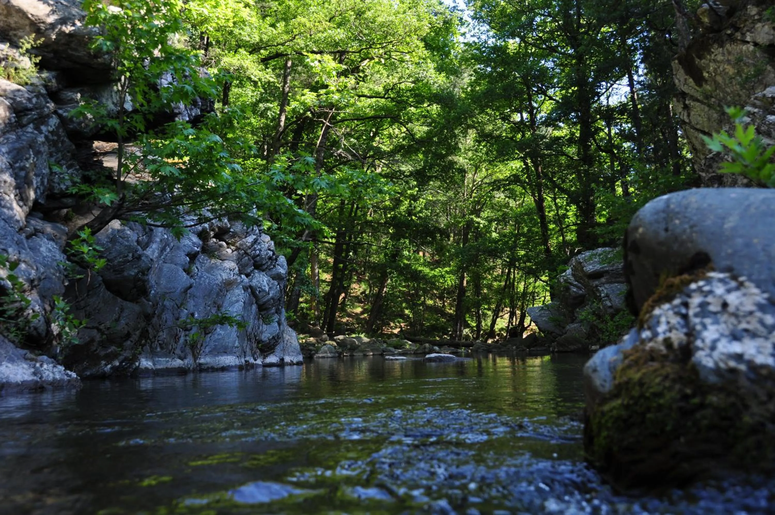 Natural landscape in Kisik Konagi