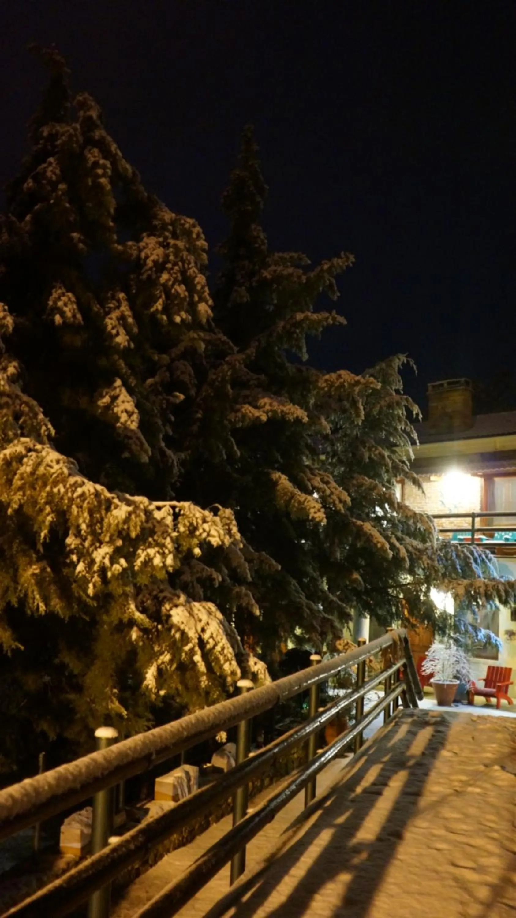 Garden in Kisik Konagi