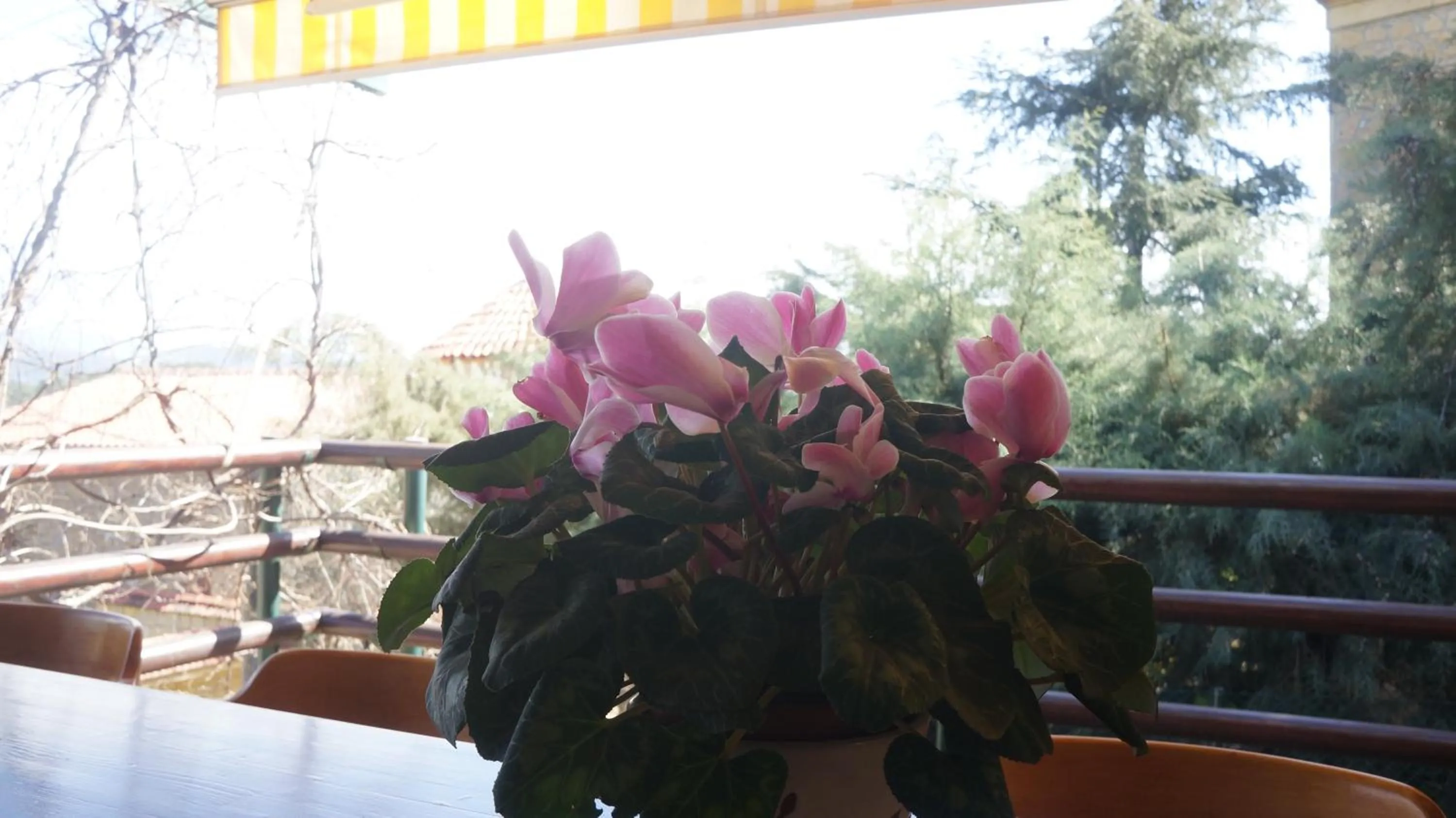 Facade/entrance in Kisik Konagi