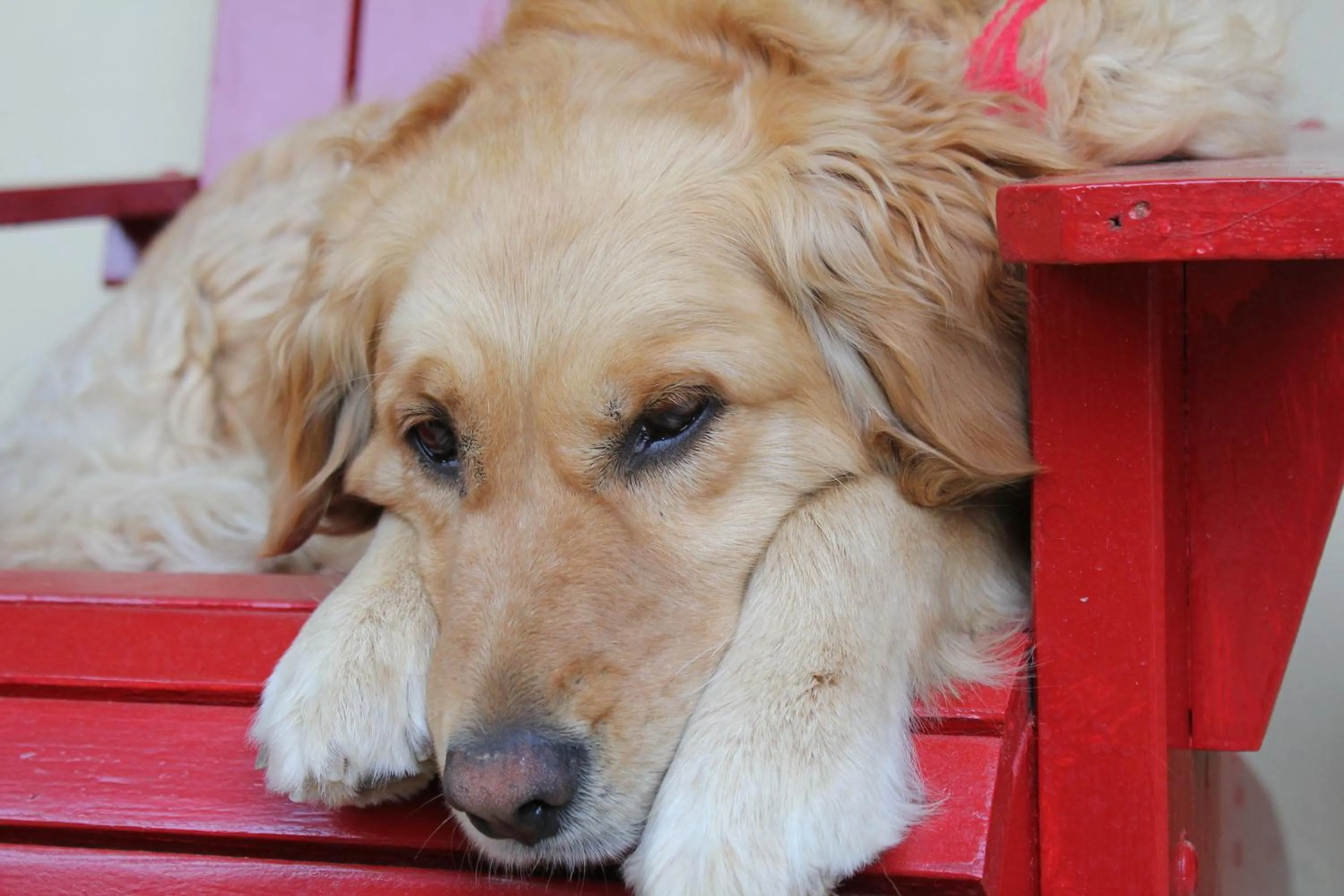 On site in Kisik Konagi