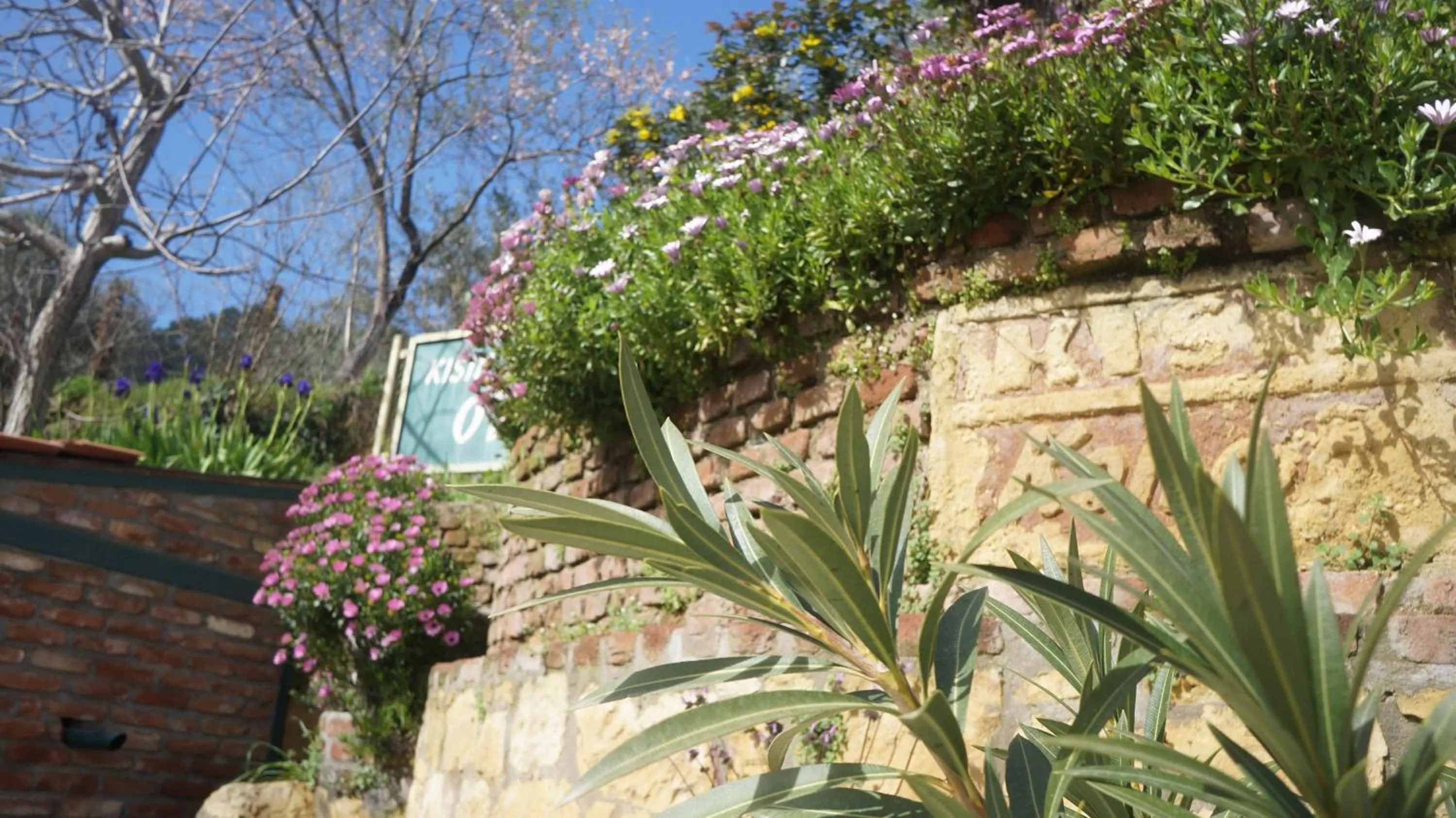 Spring in Kisik Konagi