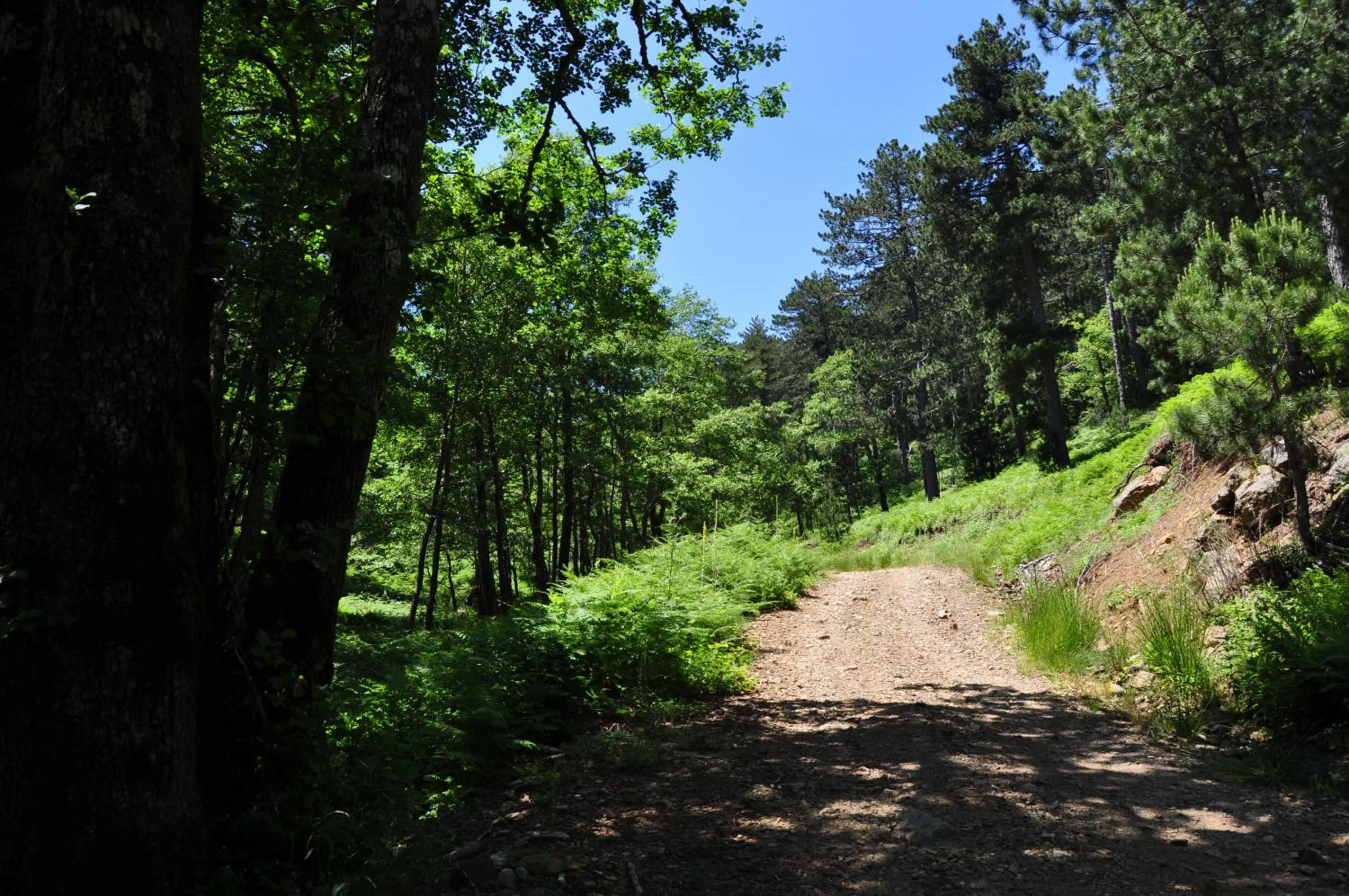 Natural landscape in Kisik Konagi
