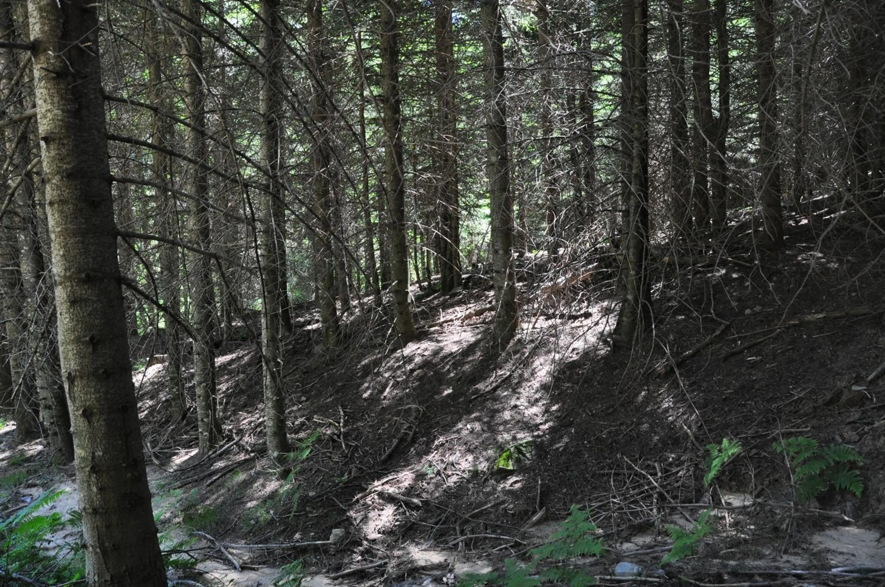 Hiking in Kisik Konagi