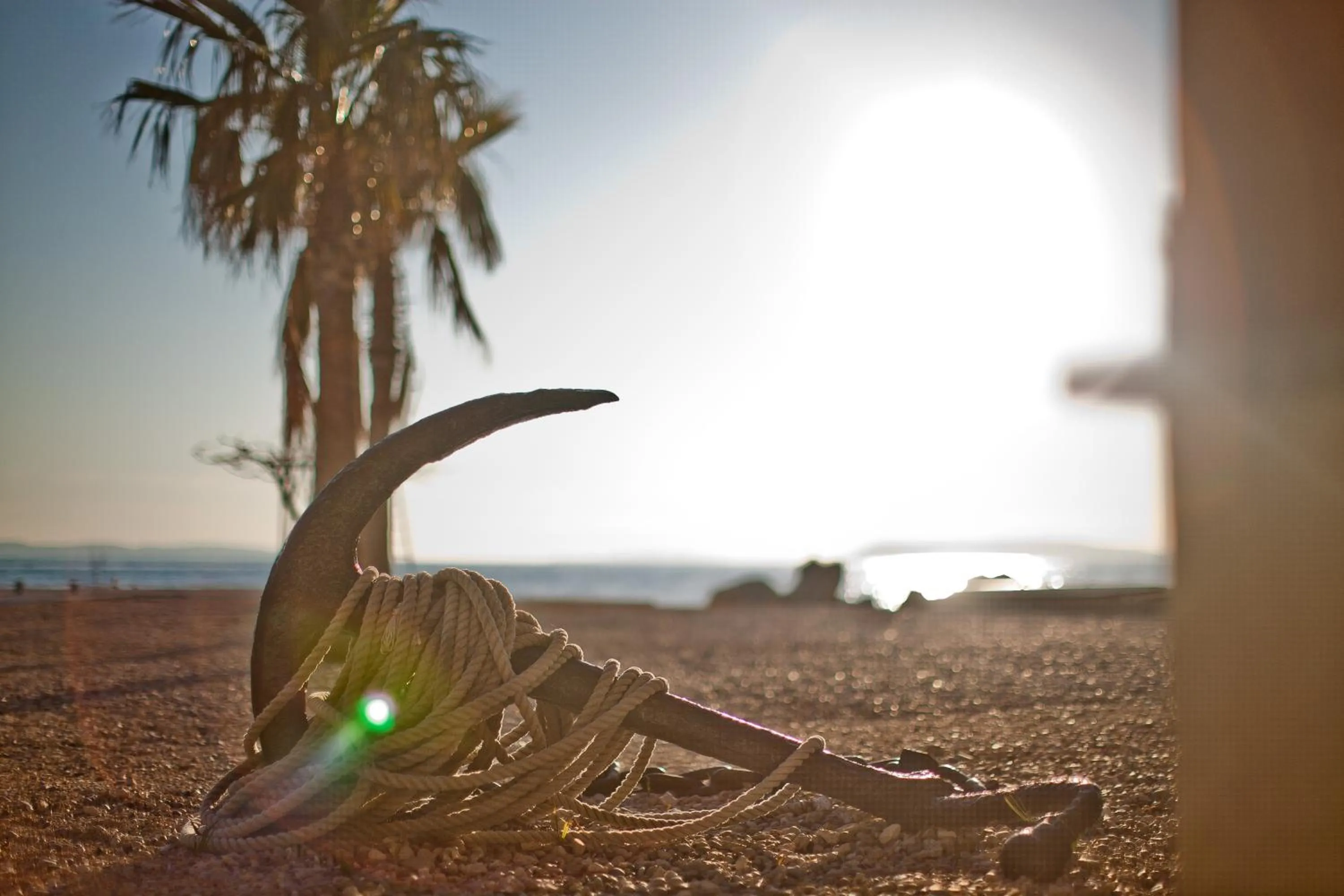 Area and facilities in Hotel Jona