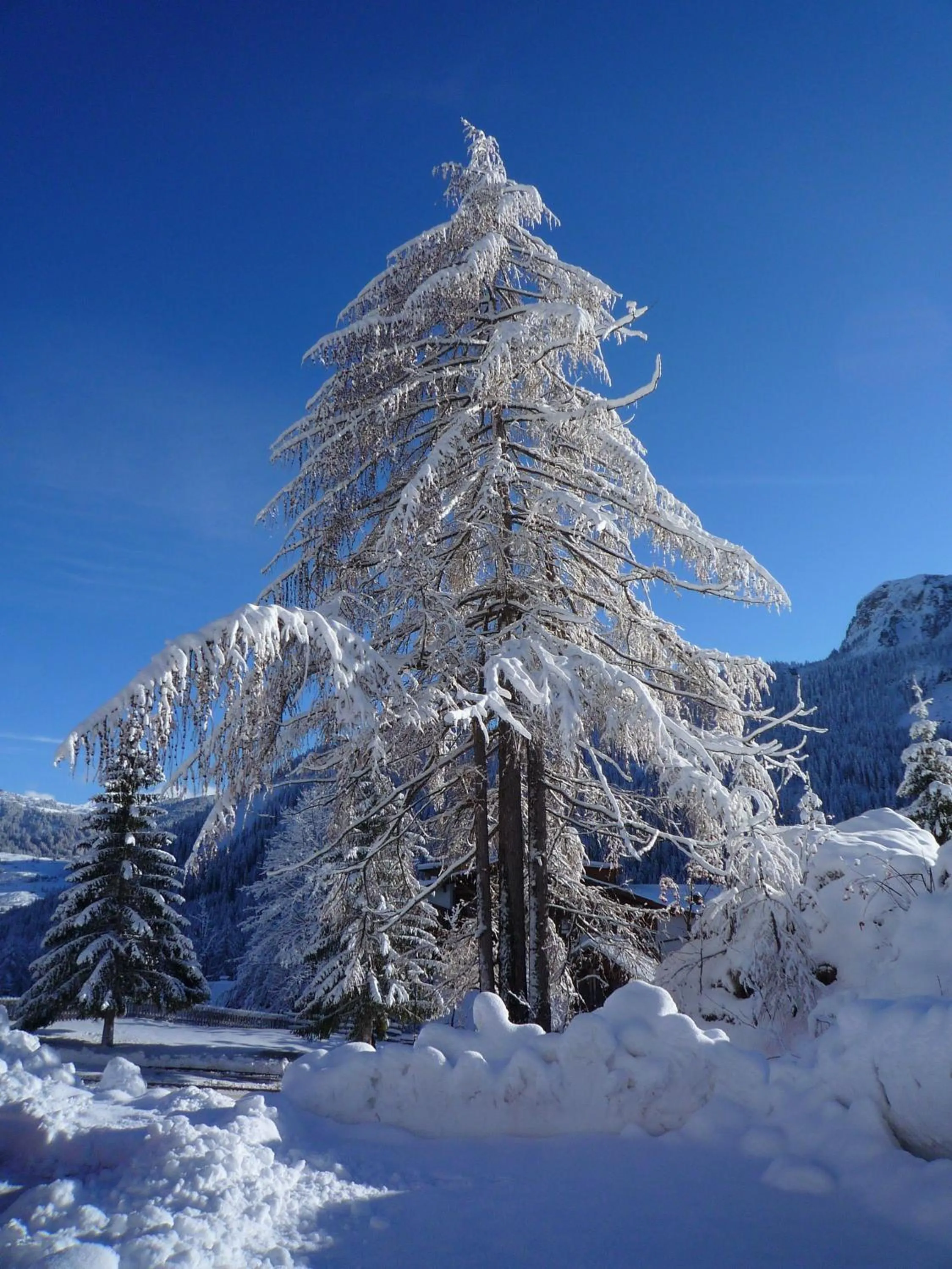 Winter in Declara B&B and apartaments