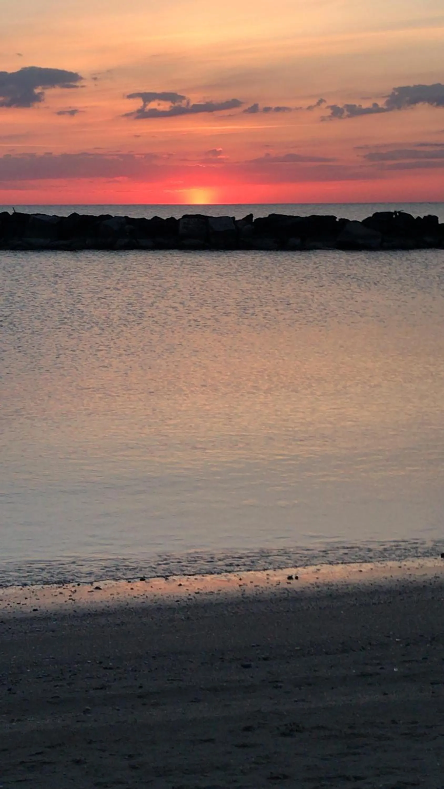 View (from property/room) in Hotel Rosati