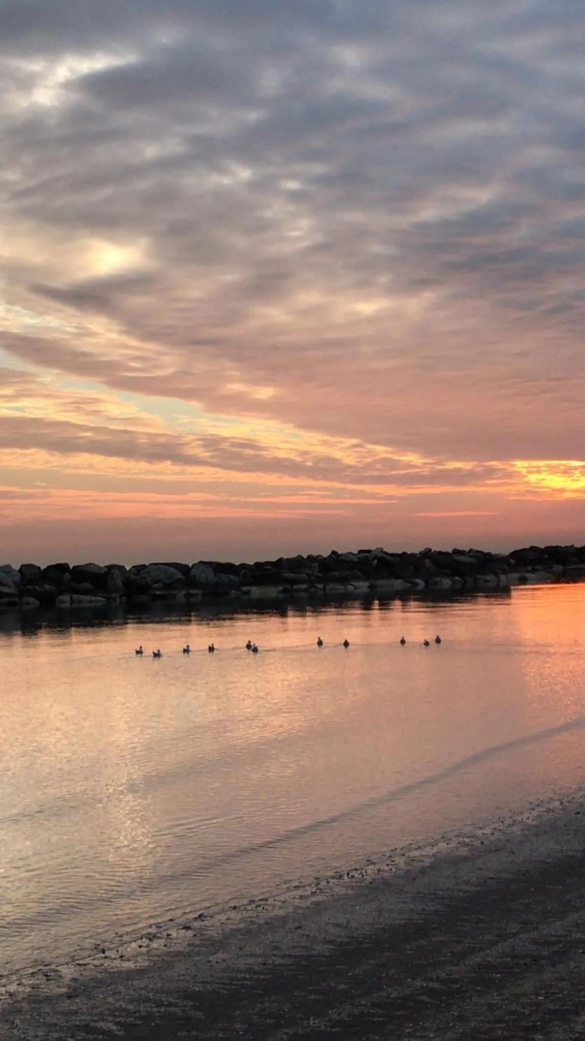 Property building in Hotel Rosati