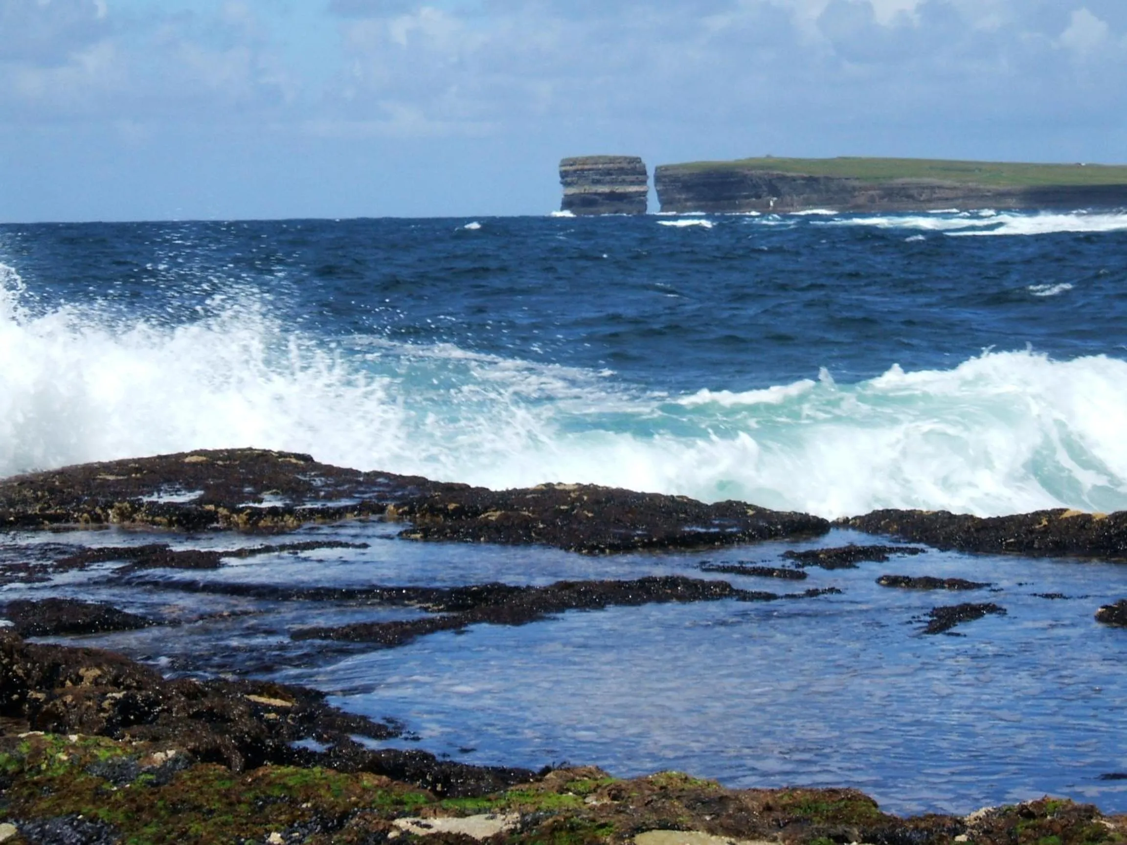 Natural landscape in Stella Maris Shore House