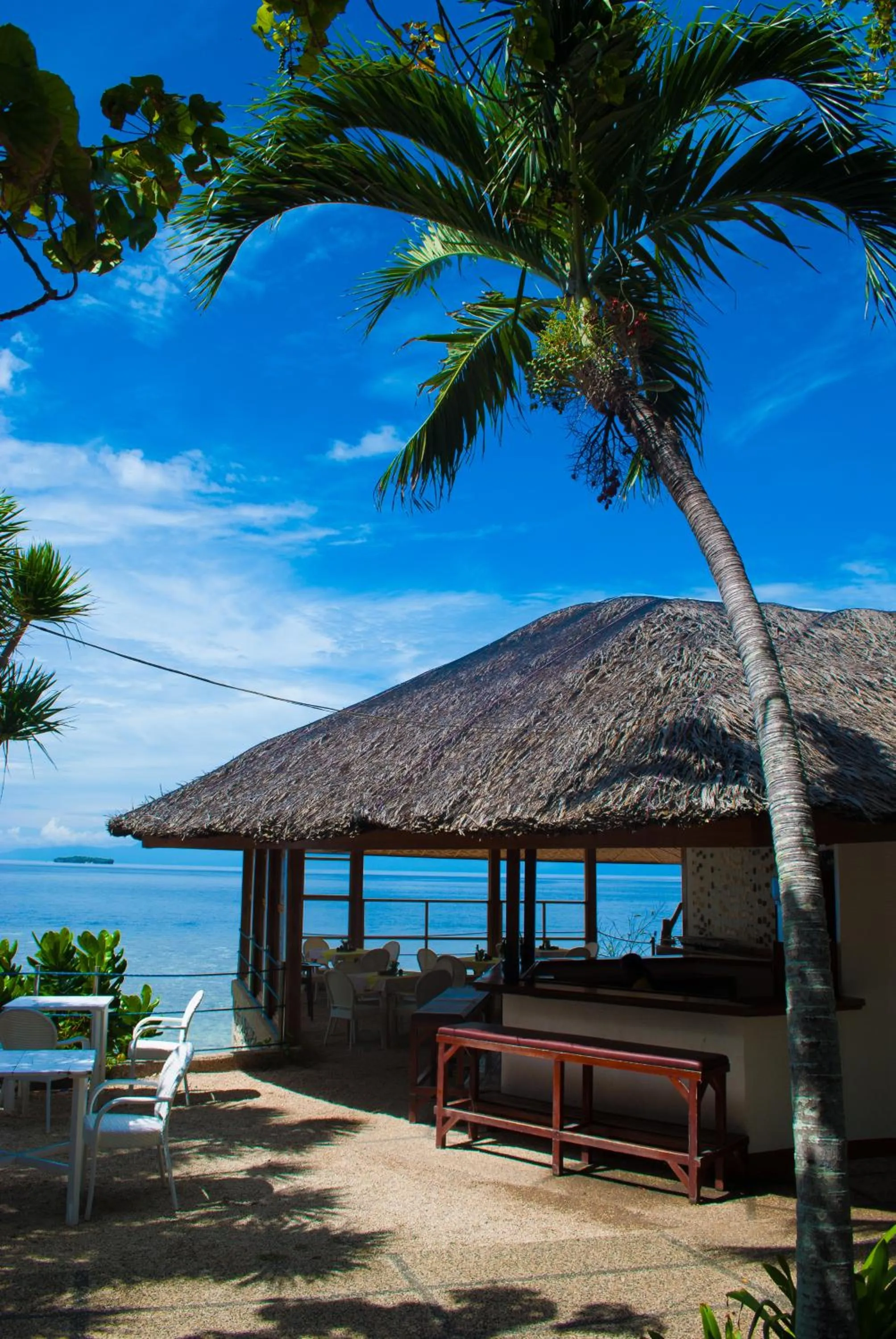 Restaurant/places to eat in Quo Vadis Dive Resort