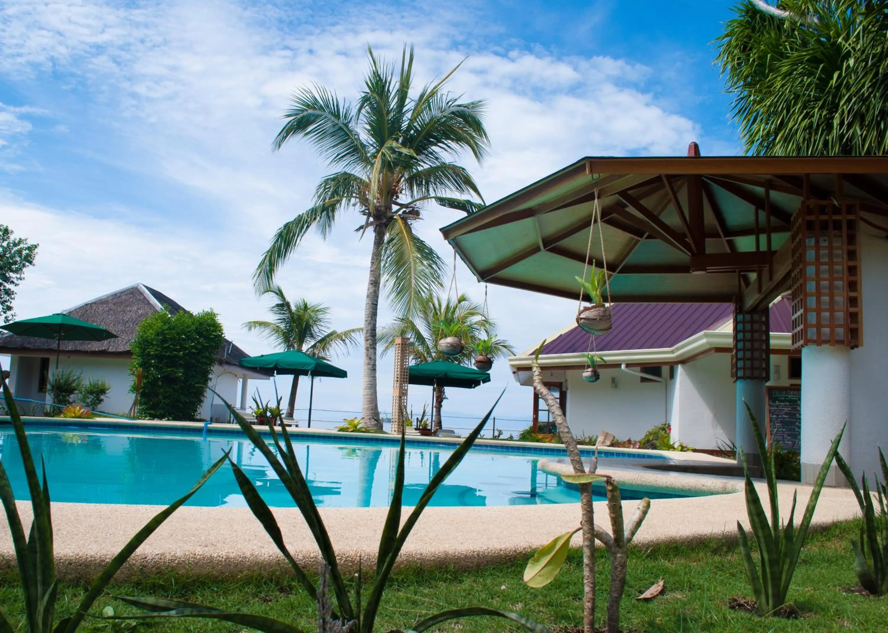 Restaurant/places to eat in Quo Vadis Dive Resort