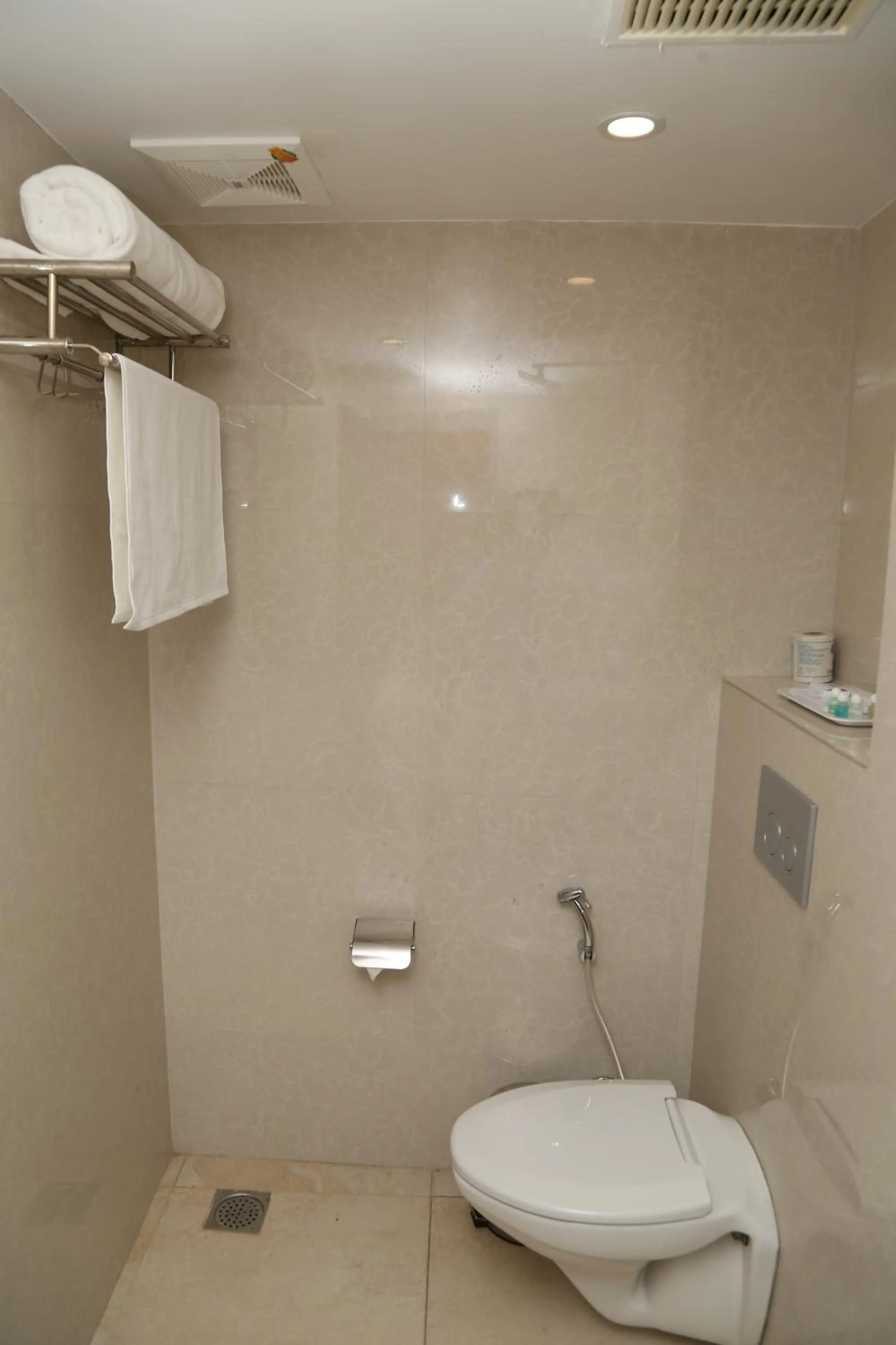 Toilet in Sbk Park Inn