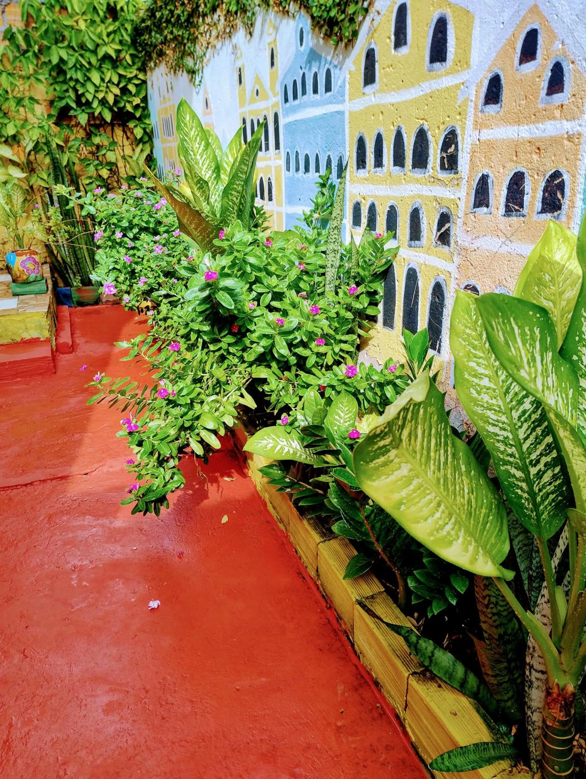 Garden in Perto Do Aeroporto De Salvador - Dona Pitanga Hostel