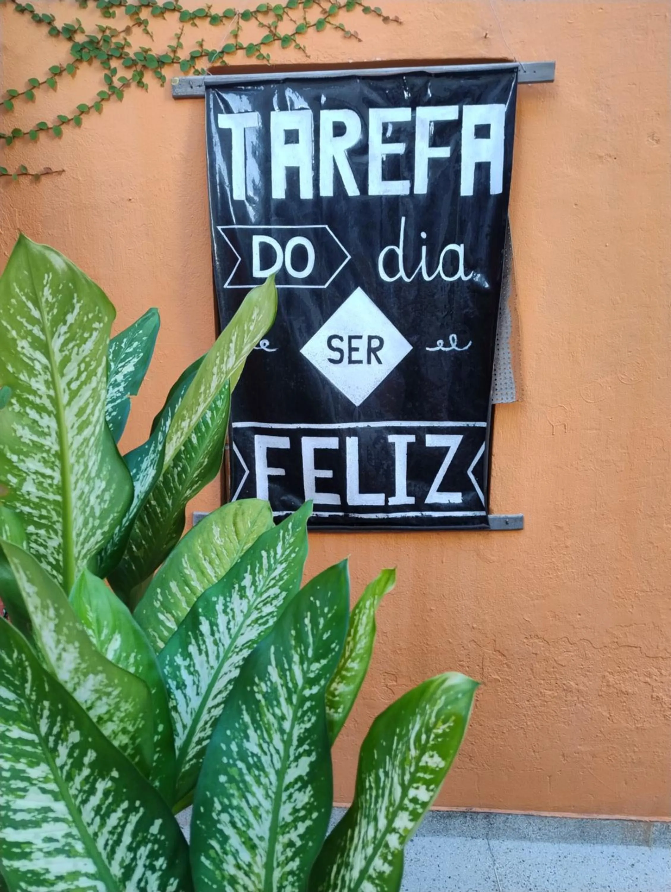 Patio in Perto Do Aeroporto De Salvador - Dona Pitanga Hostel